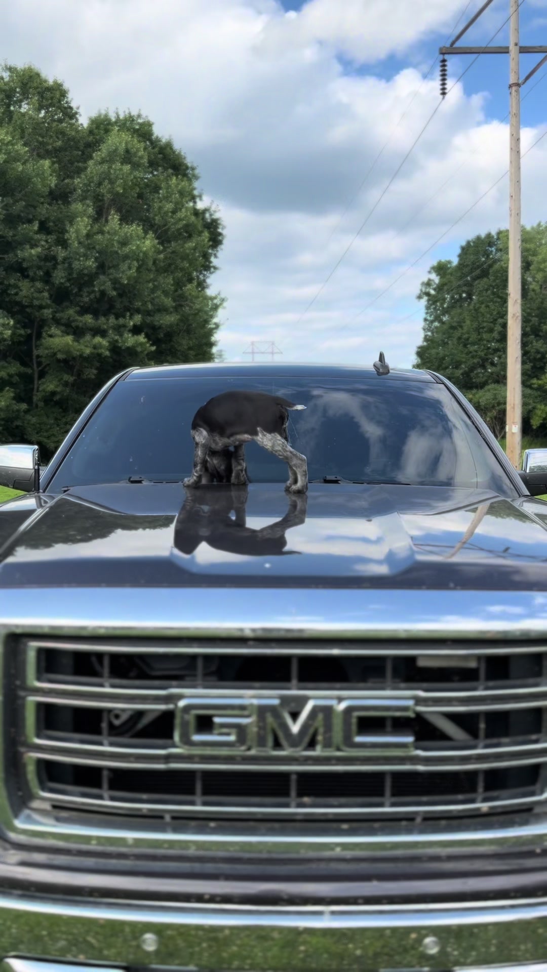 @GMCsierraZ71