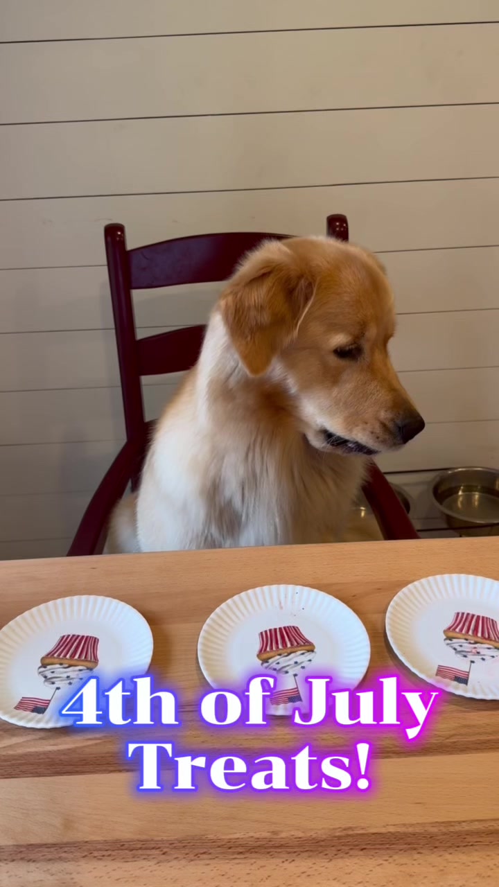 @DogMomisms