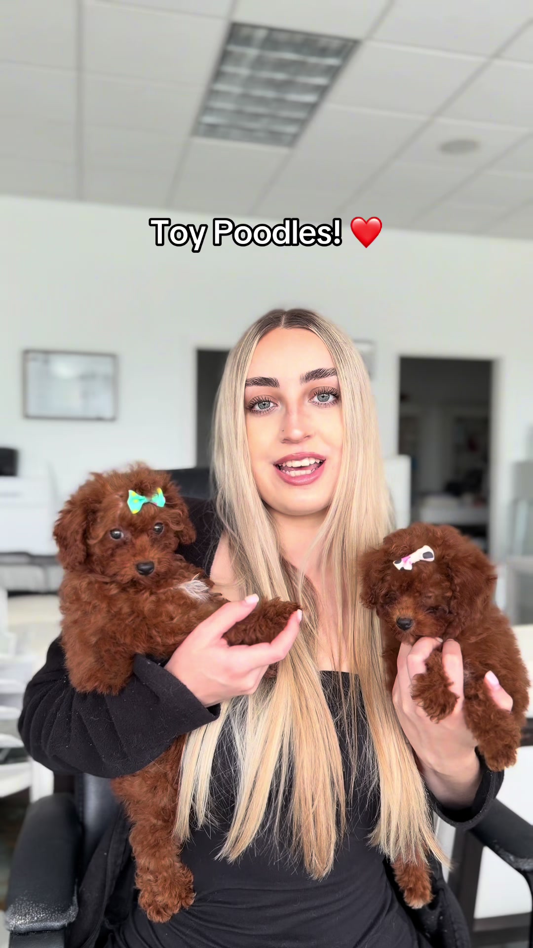@TeaCups, Puppies & Boutique &reg;️