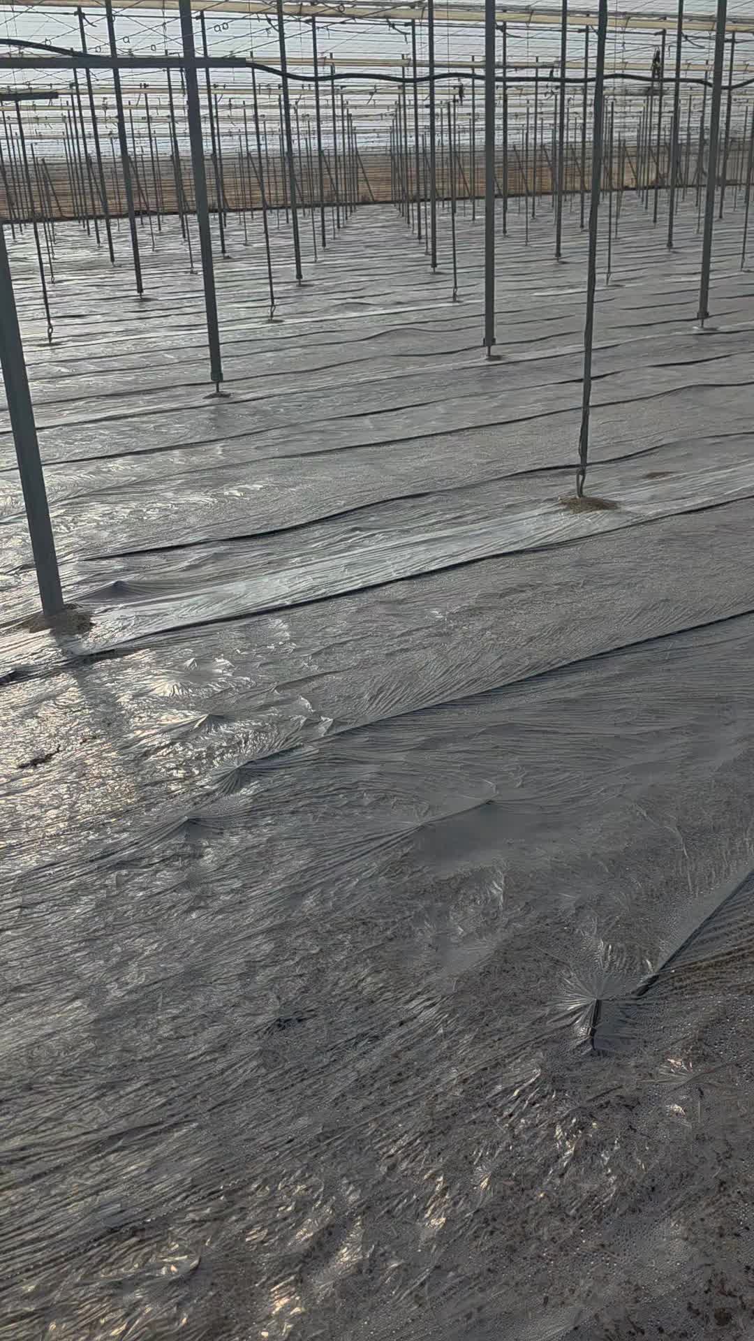 @El Extensionista del Agro