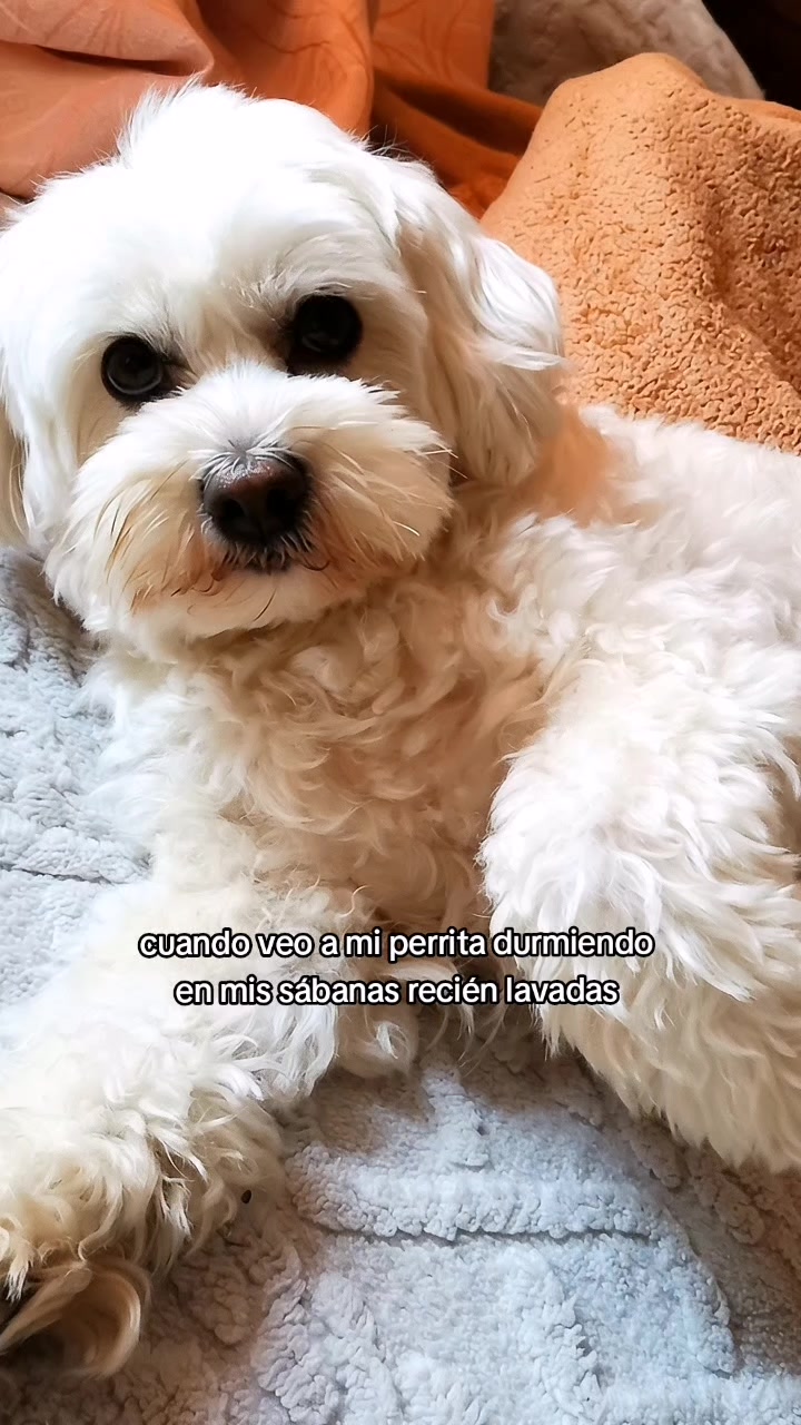 @Doki🦴🐾