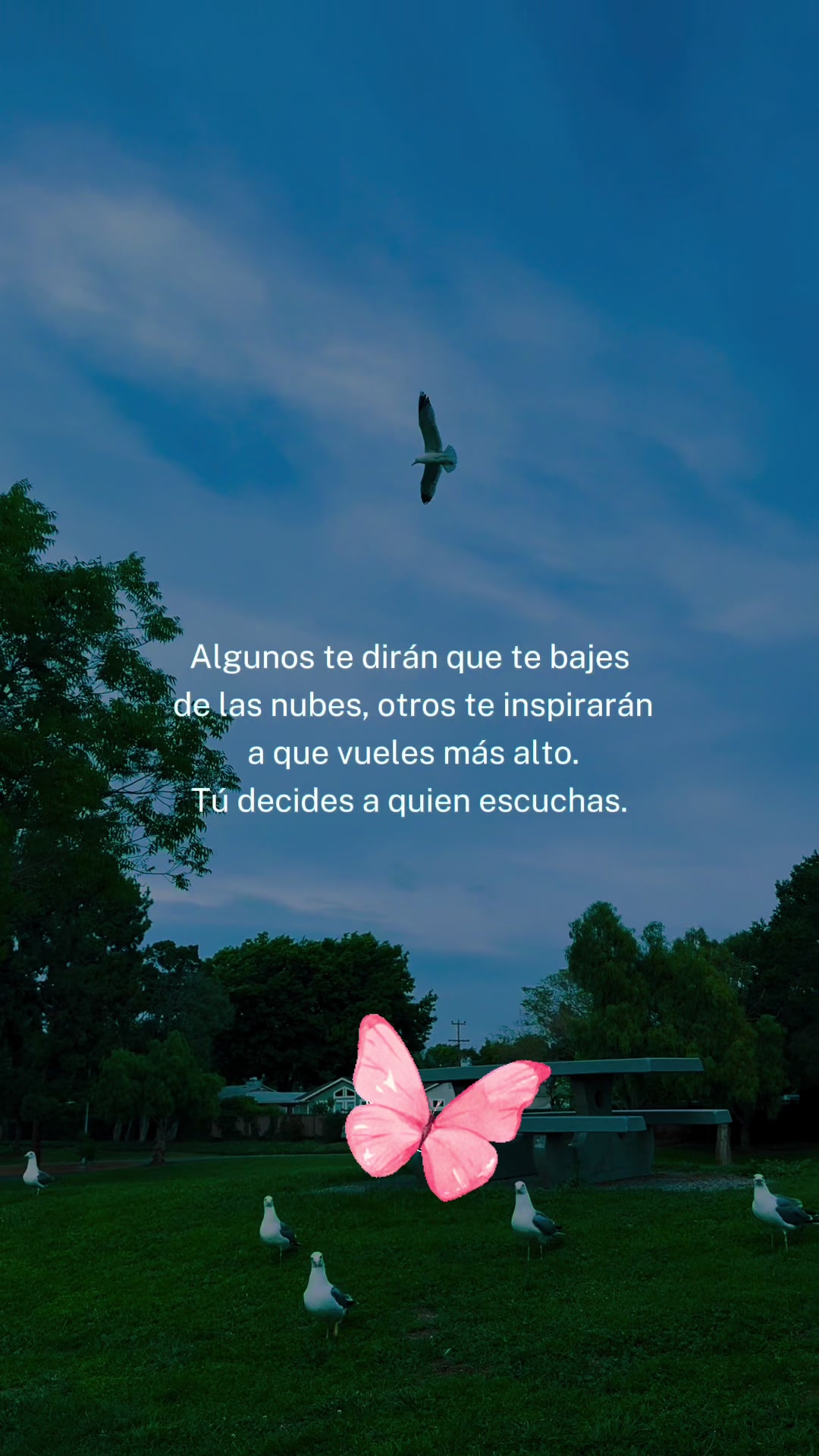 @🦋Maricela🇬🇹🧚♀️👑🦋