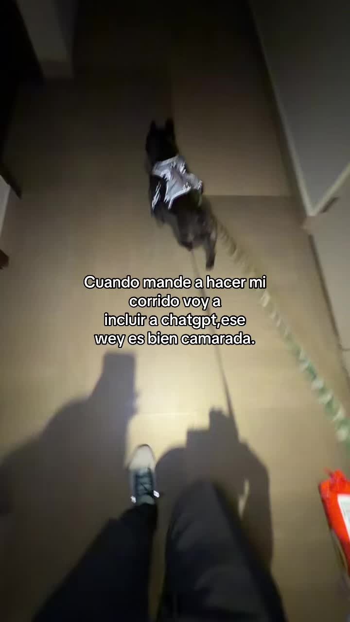 @Maximiliano Ayón