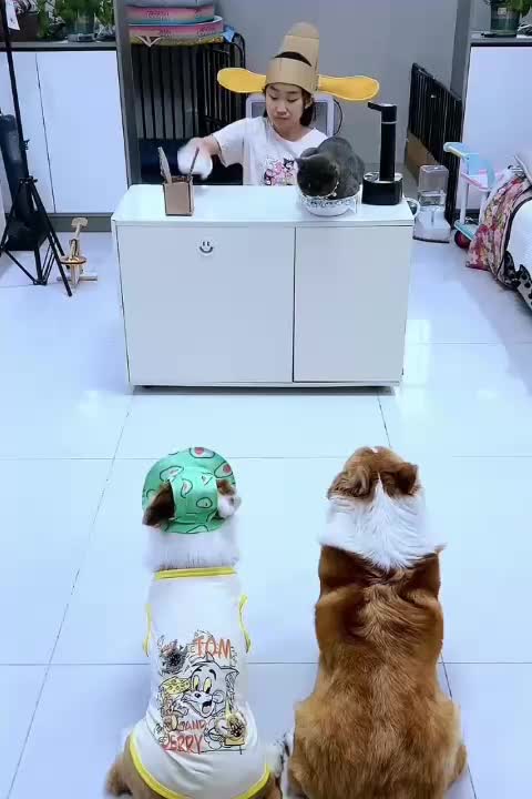 @Funny