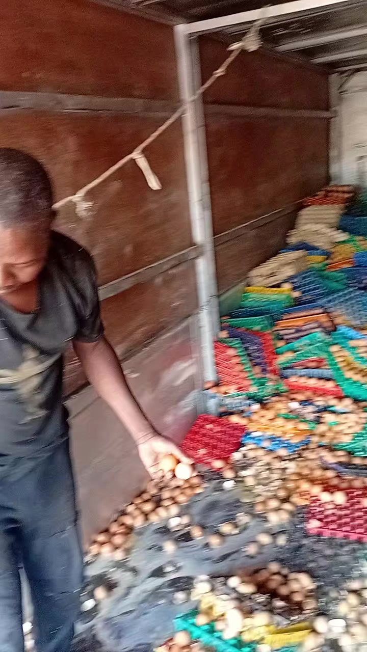 @JimJamKing🇫🇷🇺🇬