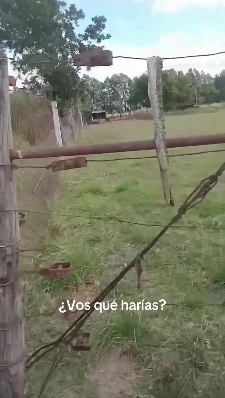 @ahoraciudad