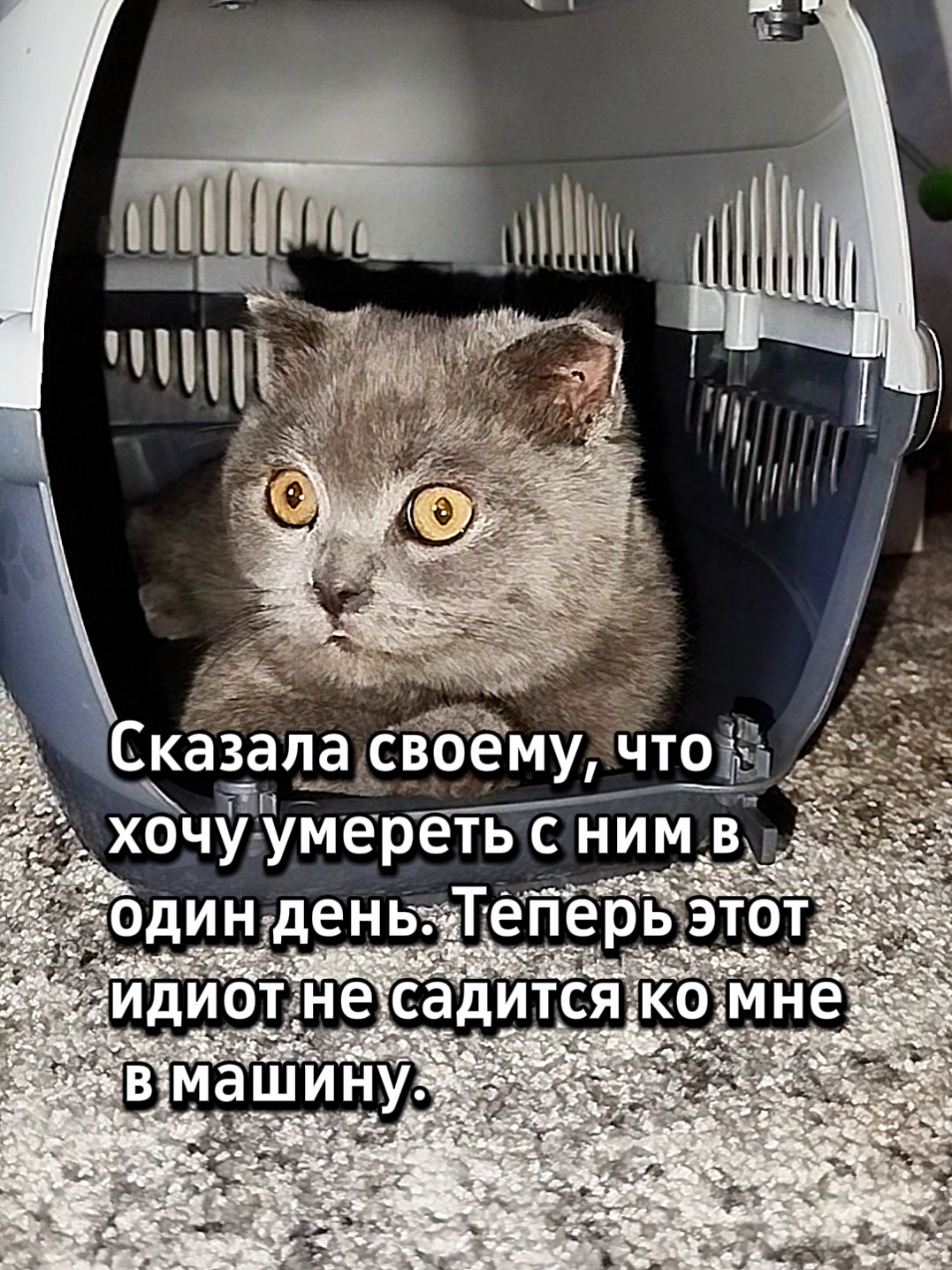 @😻Риччи&Джесси🐈Масик👼&Андрей