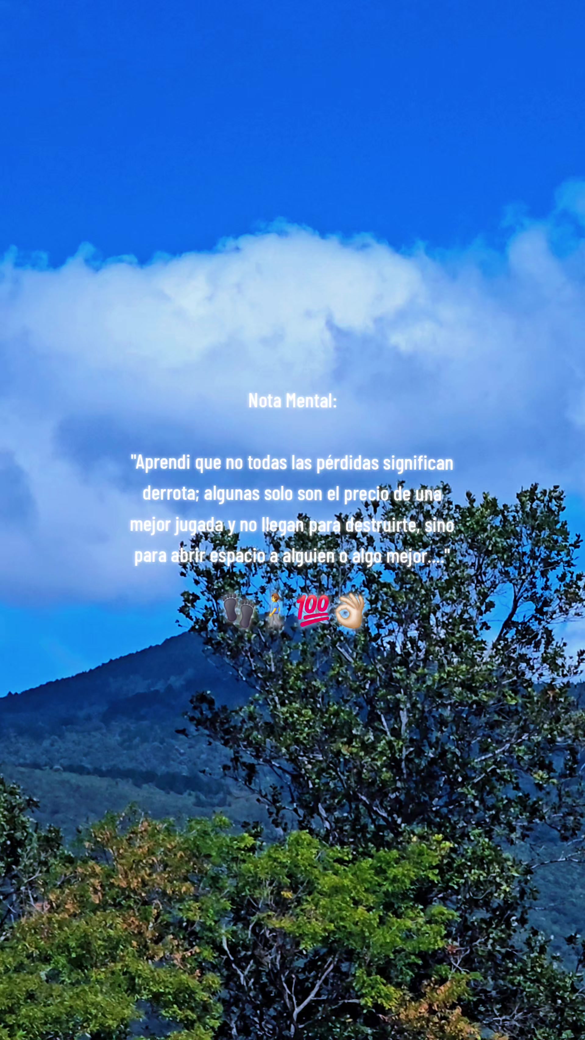 @LDeras 🇸🇻