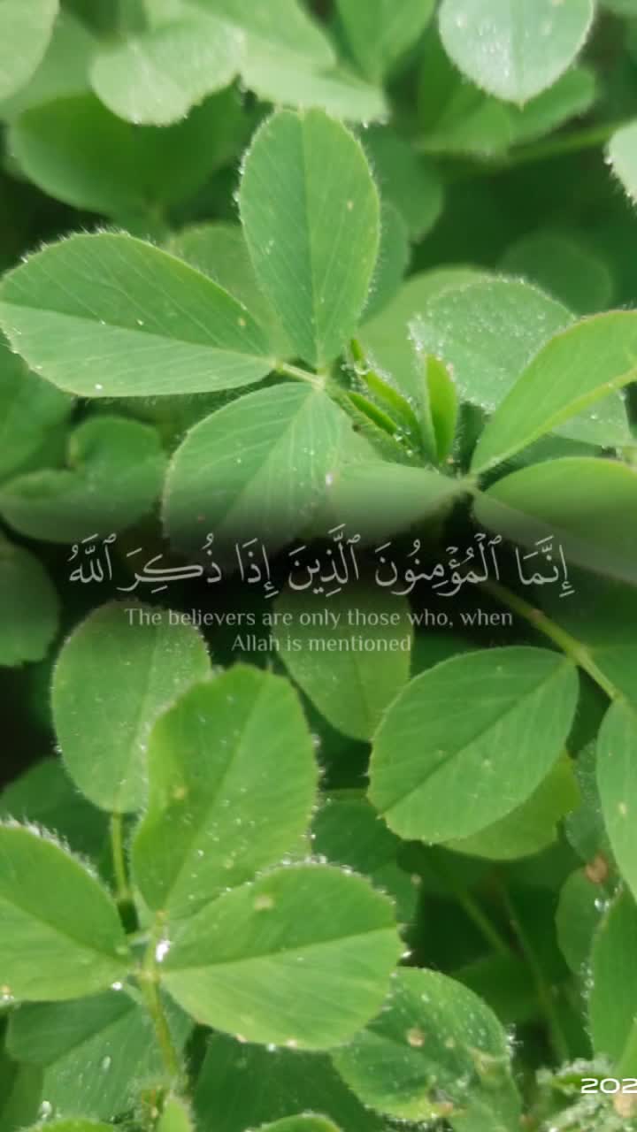 @shankhan