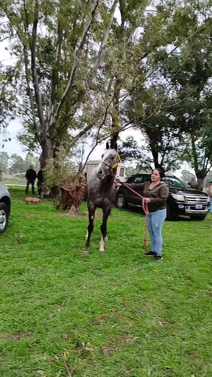 @Soledad Gigena 🏇♥️