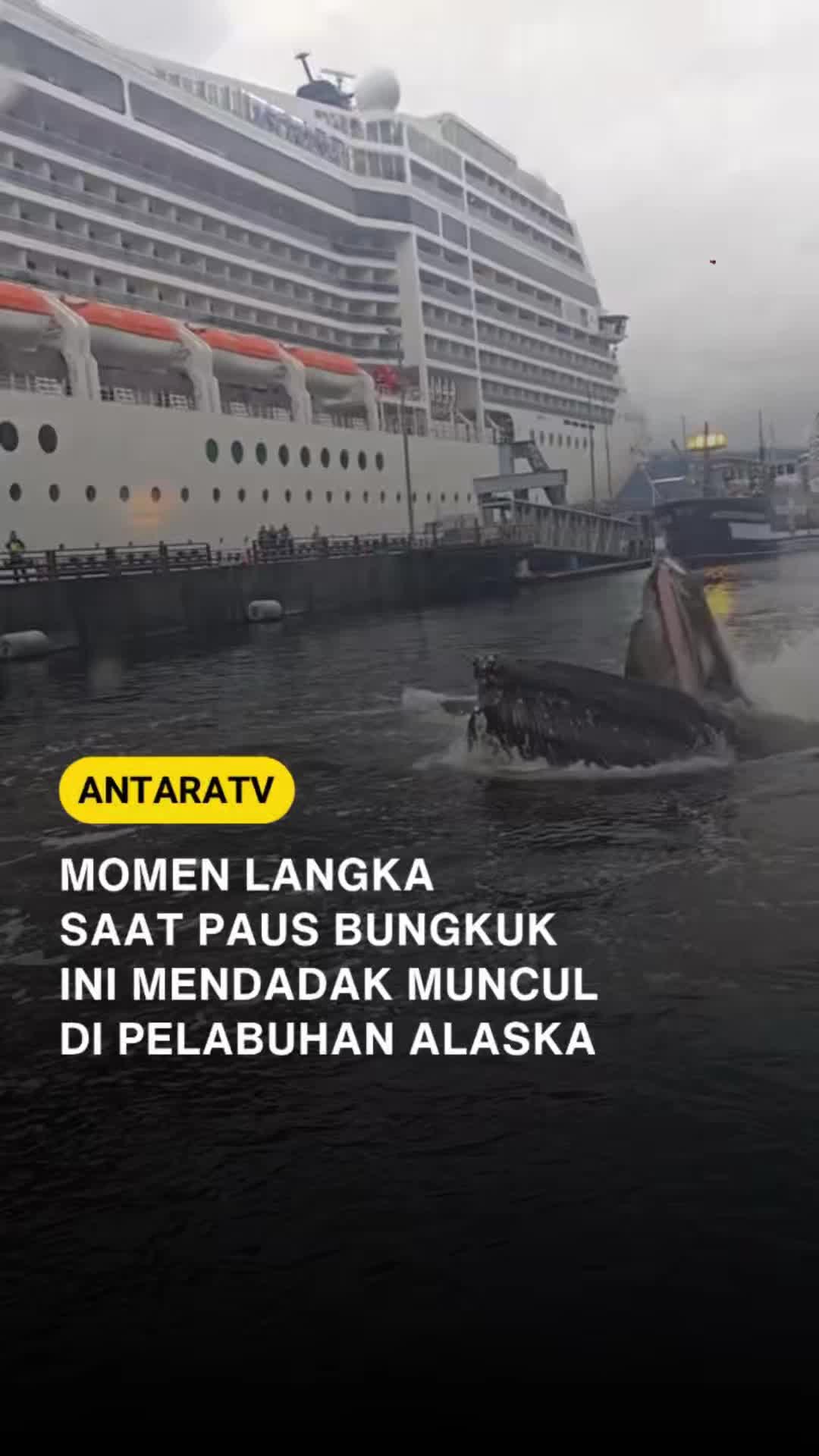 @Antara TV Indonesia