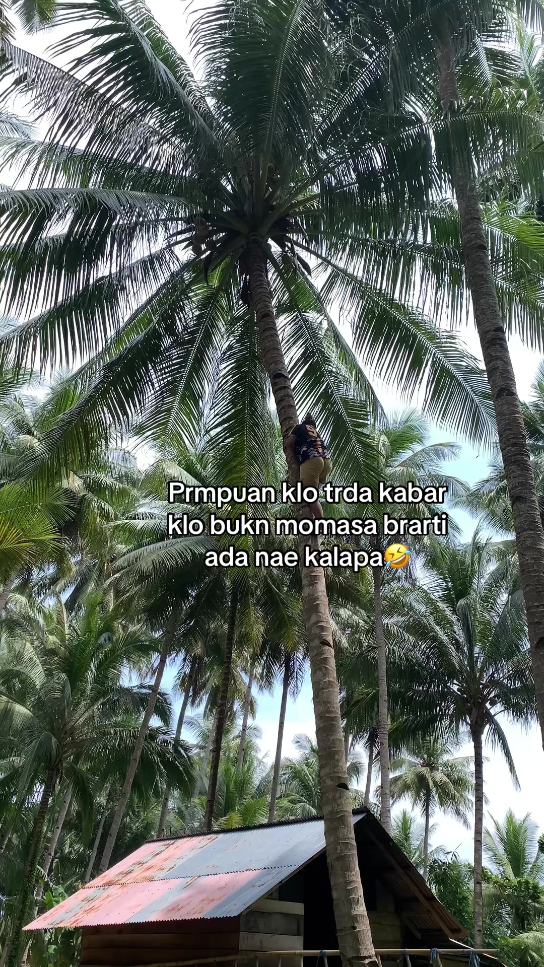 @🧜🏻♀️