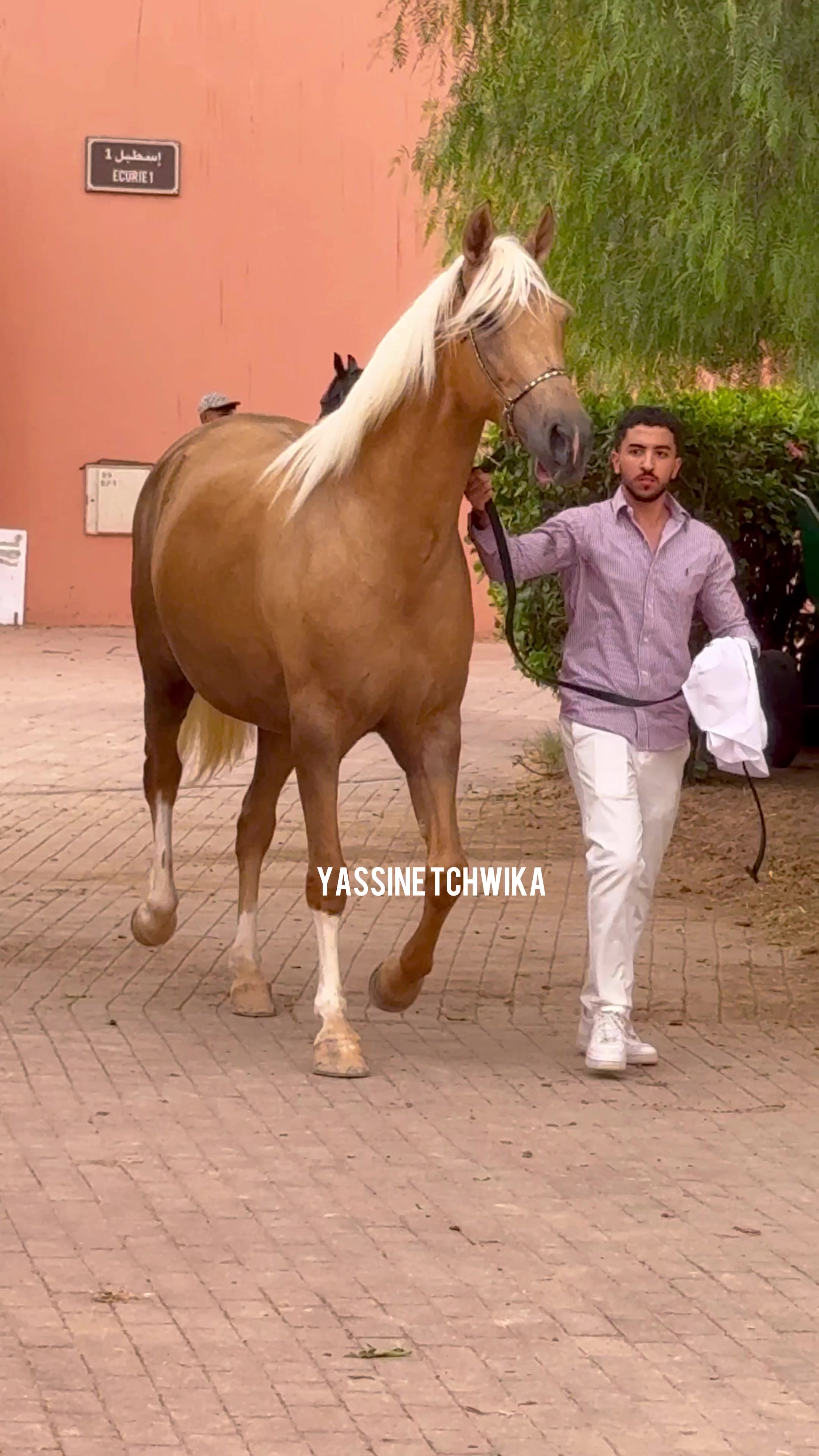 @yassine Tchwika