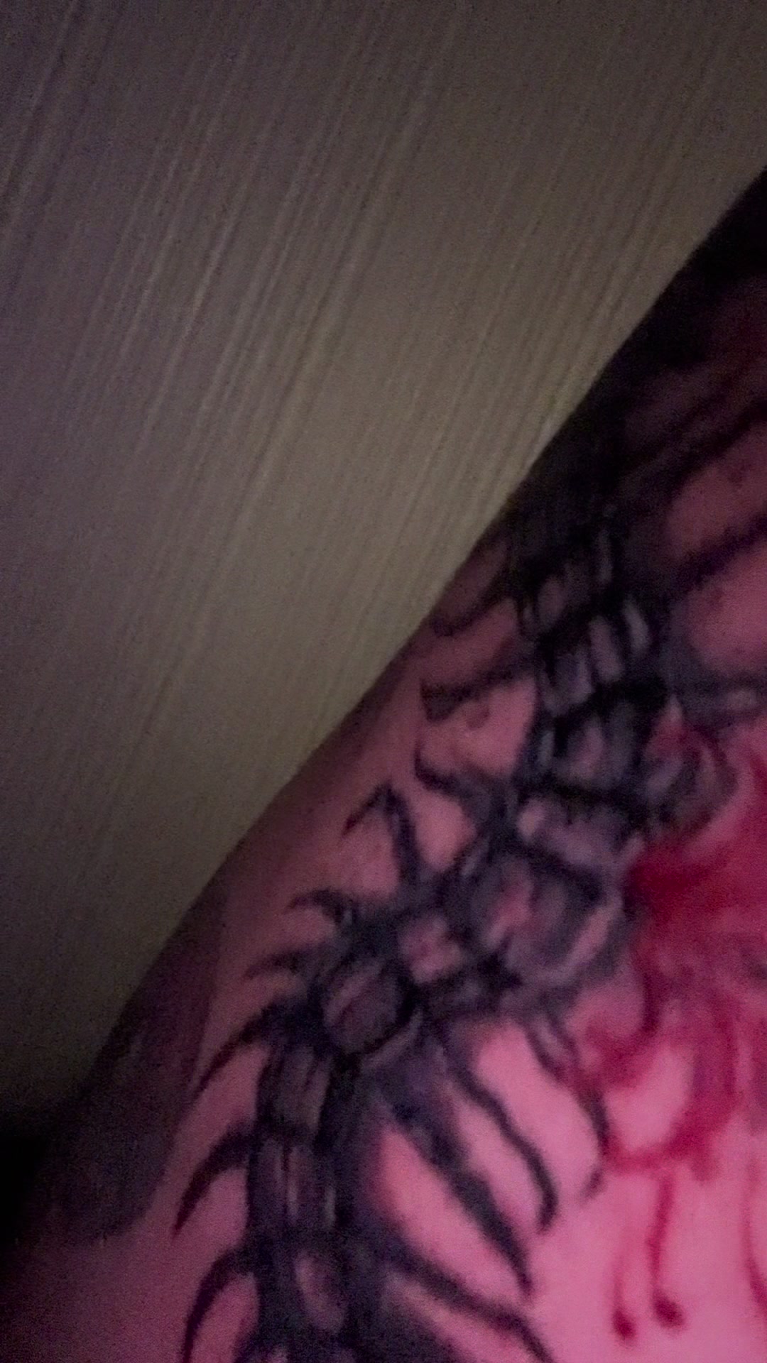 @🐆