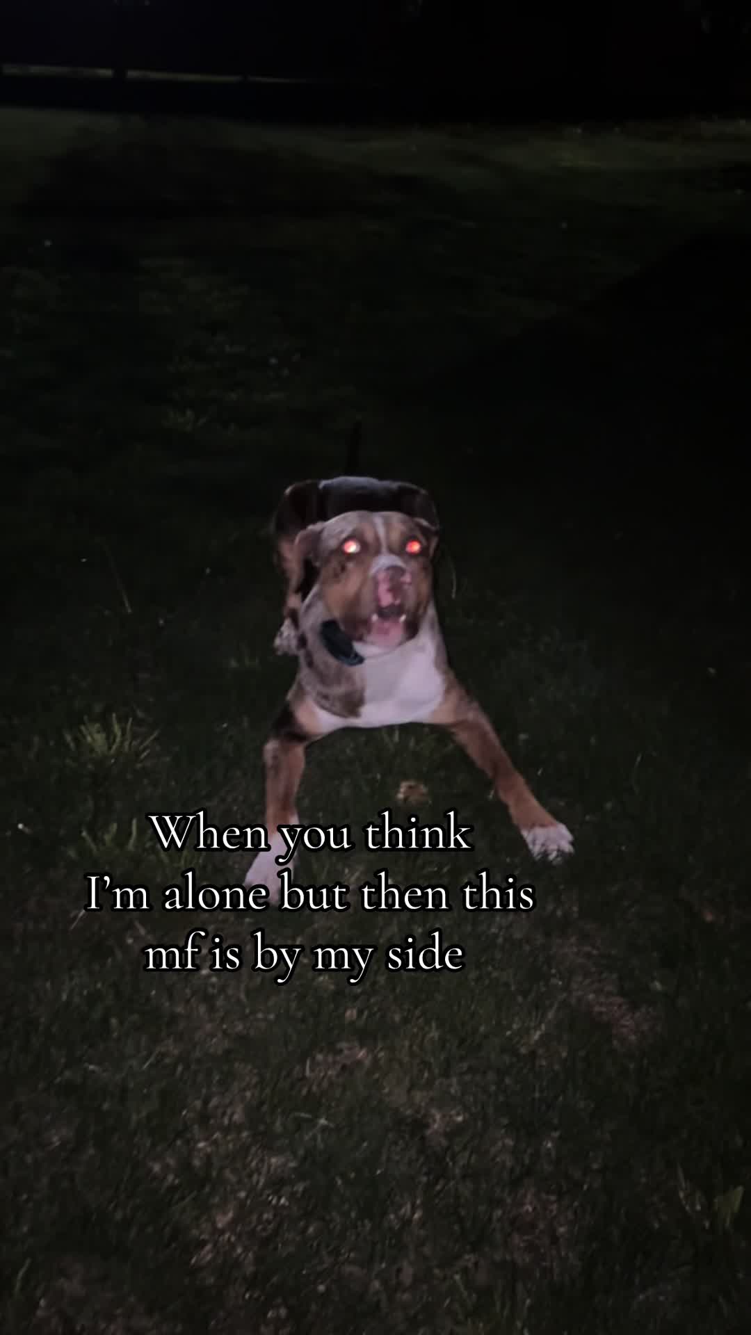 @Waylon