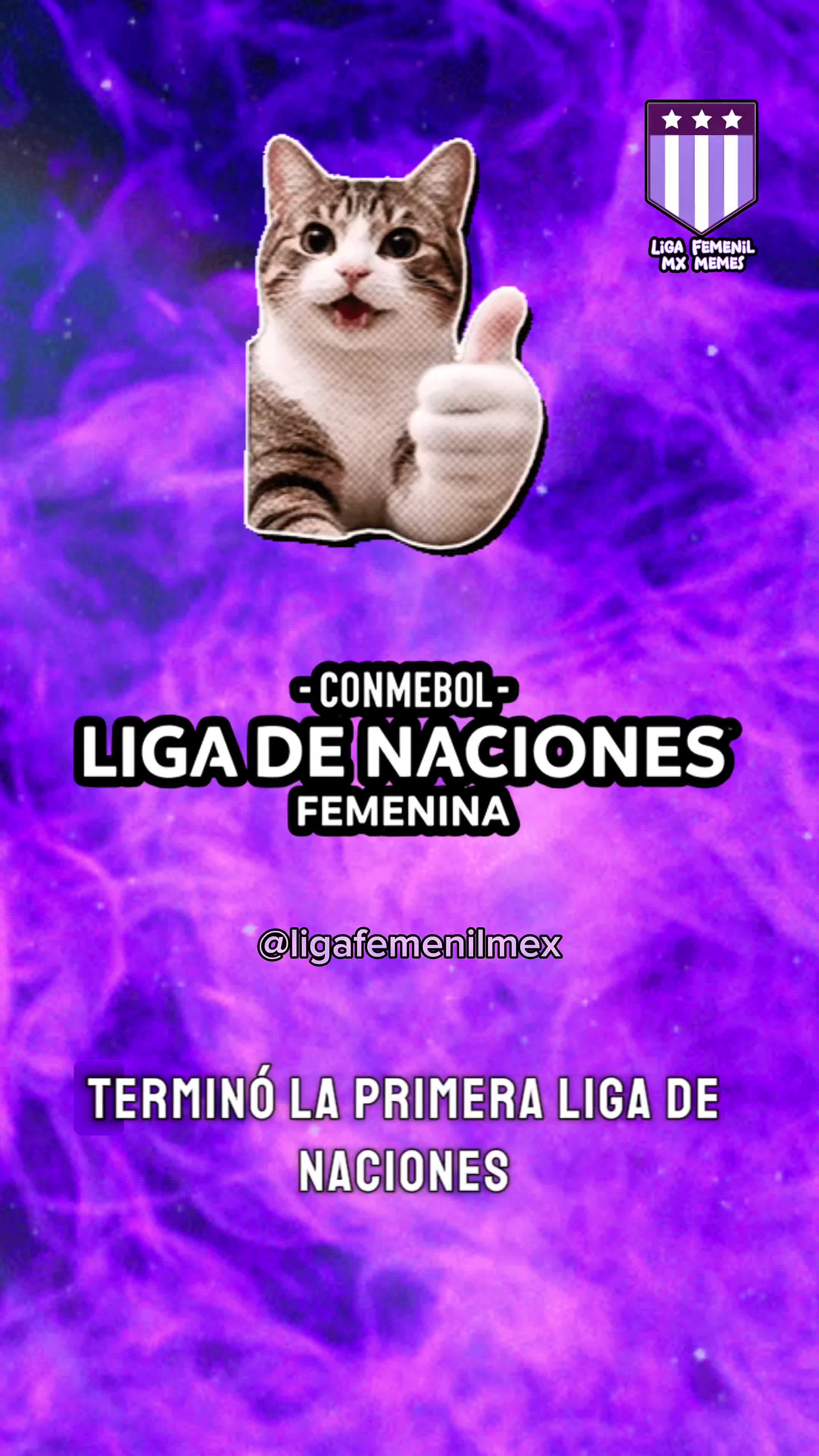 @Liga Femenil MX Memes