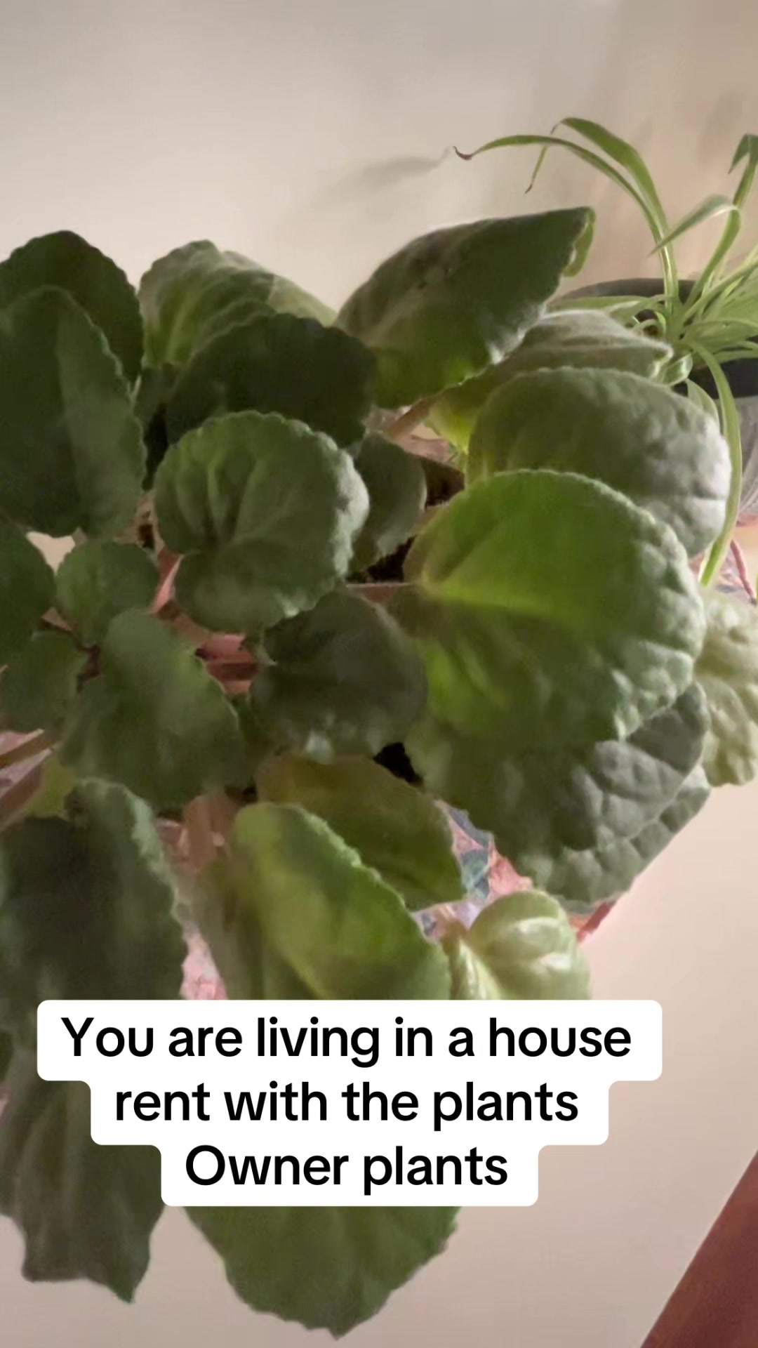 @Mamablogger