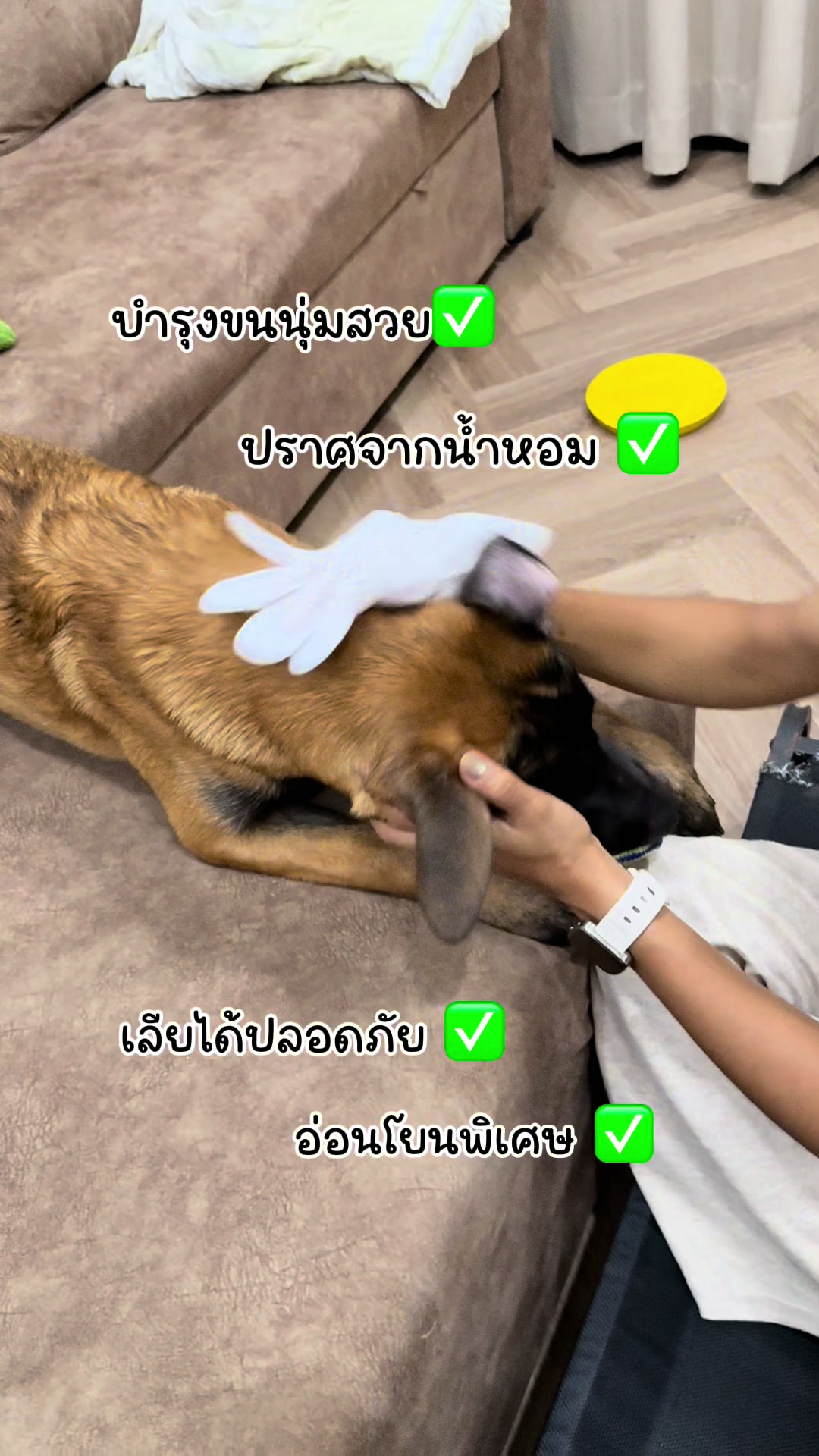 @พี่เรนเจอร์กับน้องเรนจี้