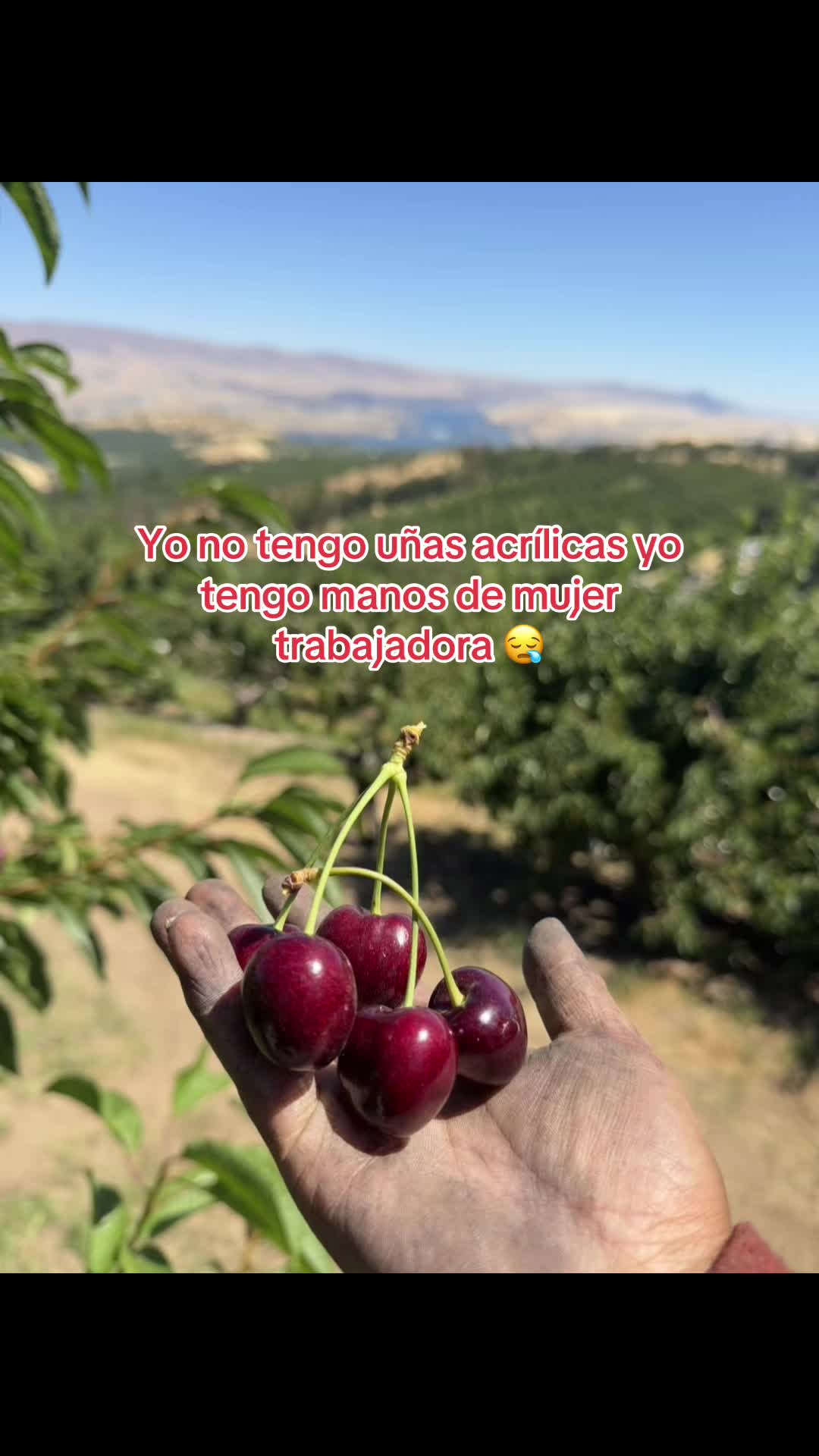 @L&ocirc;p&ecirc;z J&ecirc;ss&icirc; ❤️&zwj;🩹💫