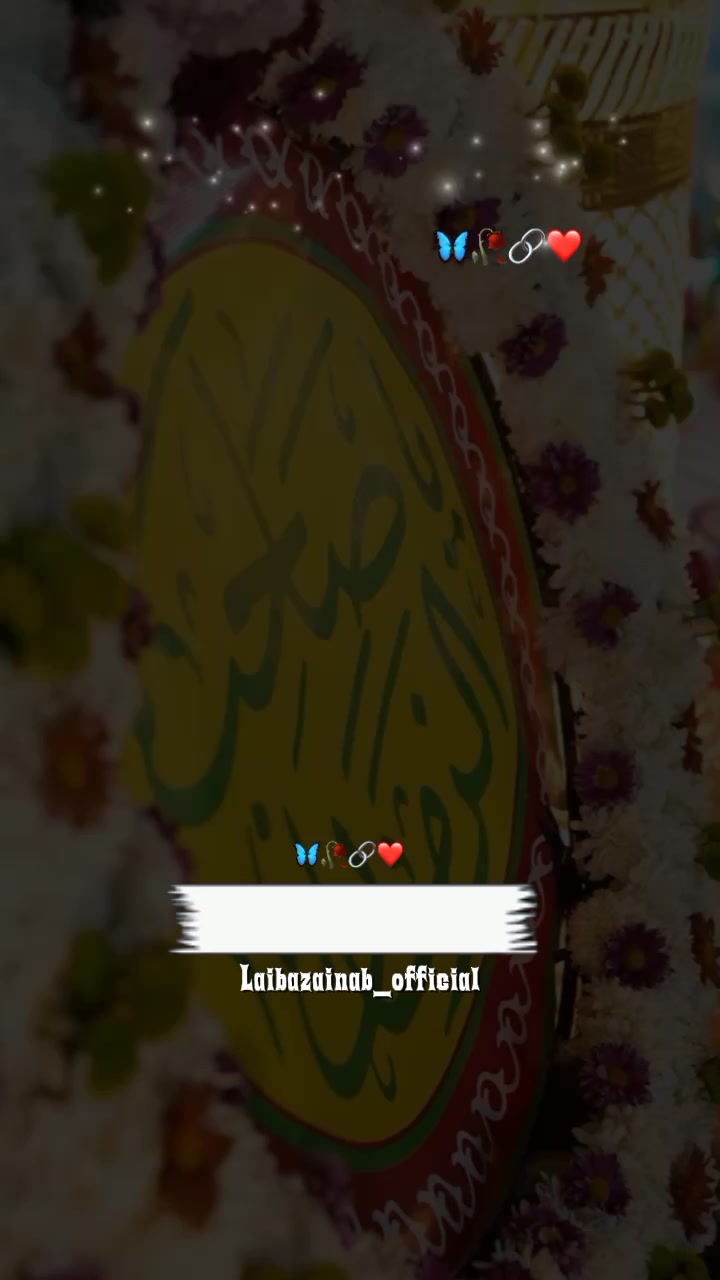 @najaf ali 786