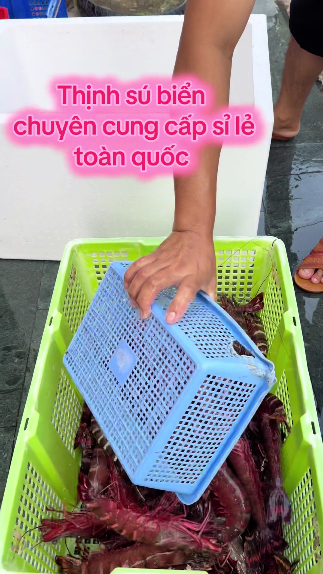 @Thịnh Sú Biển