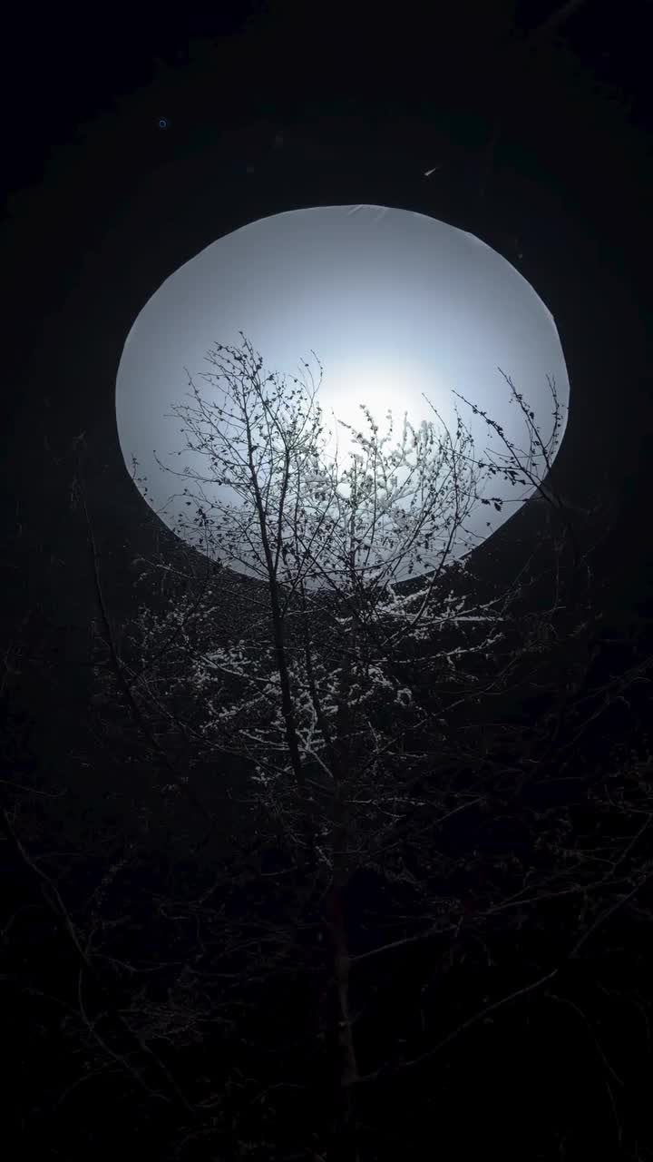 @𝓗𝓪𝓿𝓮𝓷