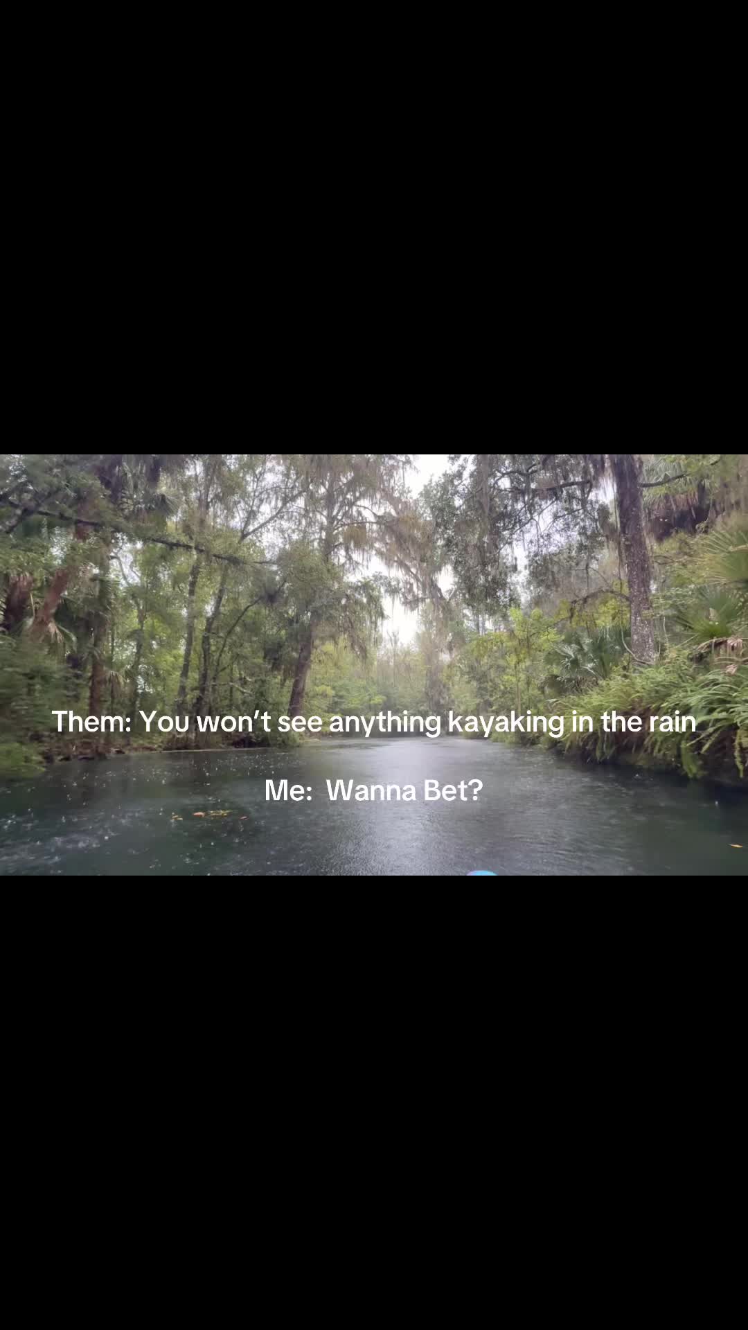@BradTheOriginalManateeMafia