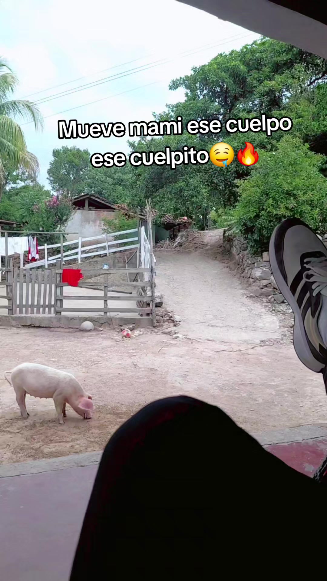 @Fernando Muñoz