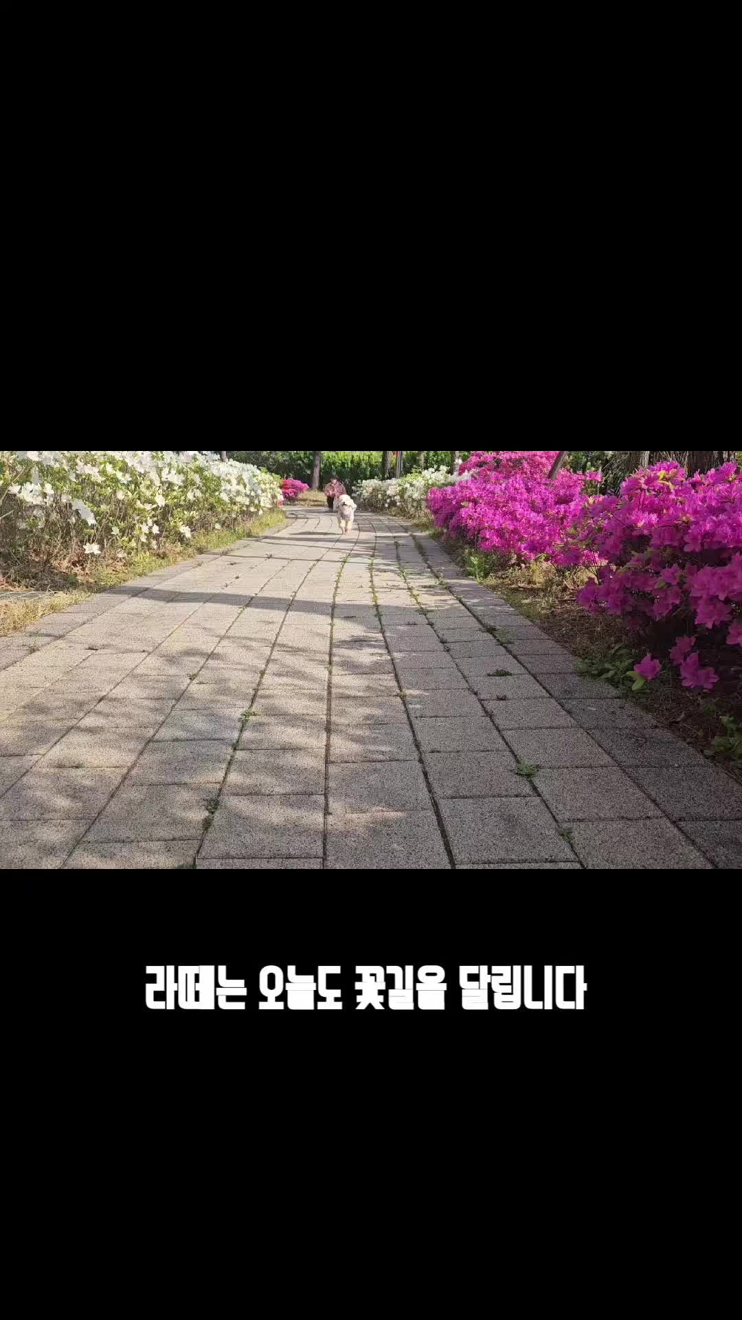 @예쁜라떼