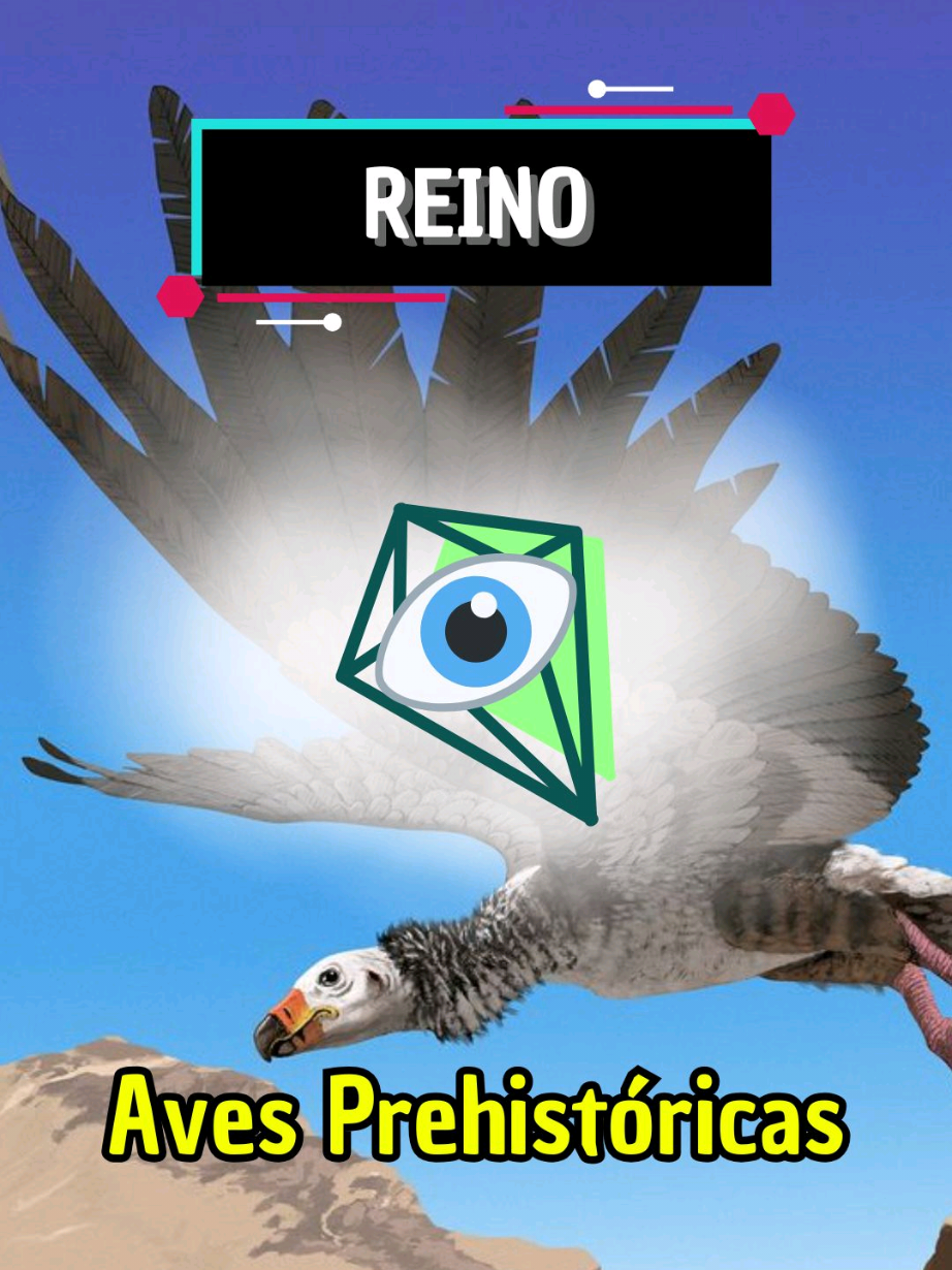 @eocenito