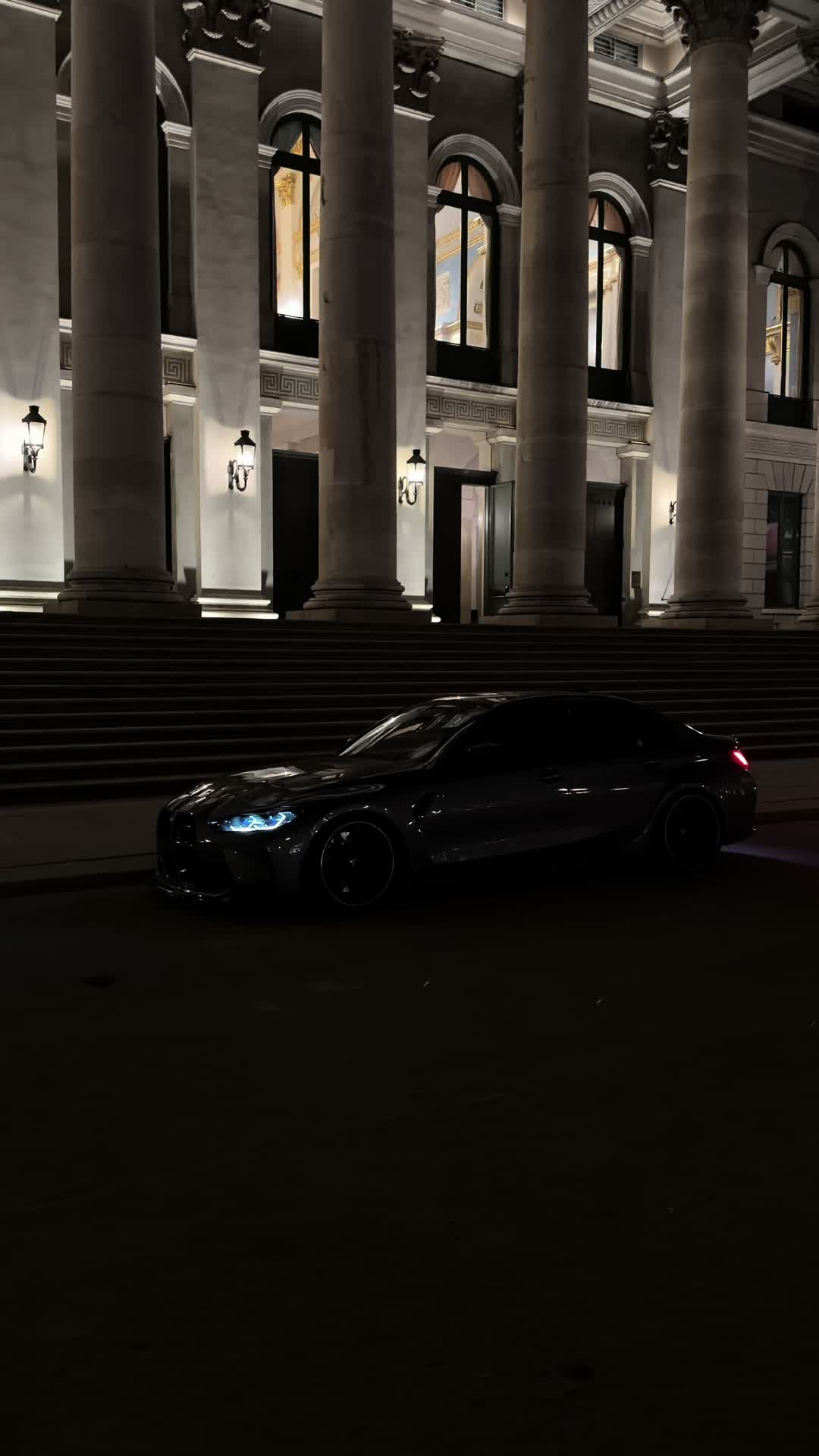 @x56 🦈
