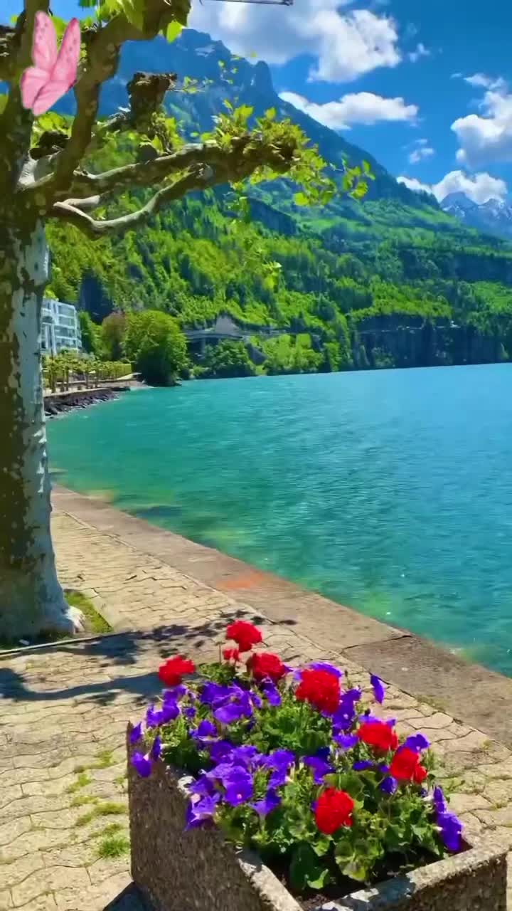 @Radmila