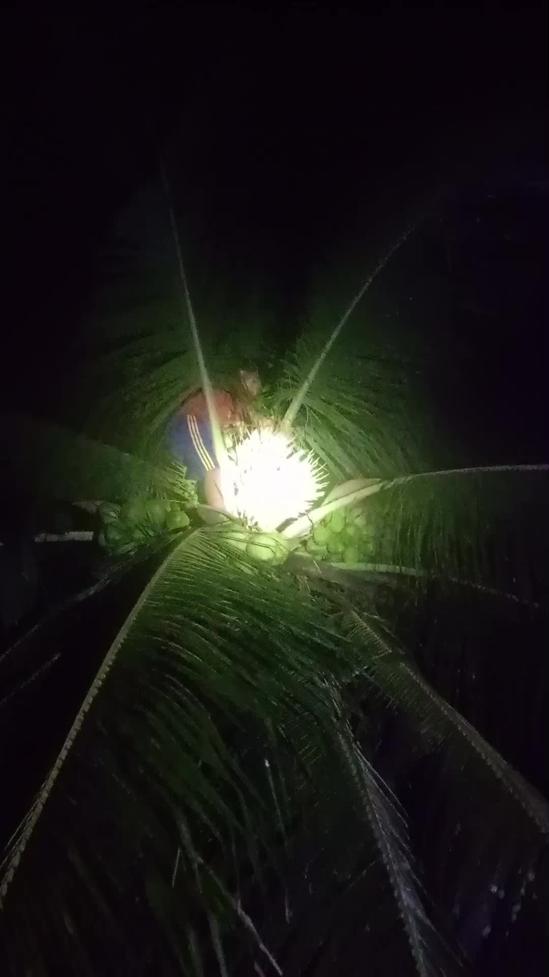 @GuGum
