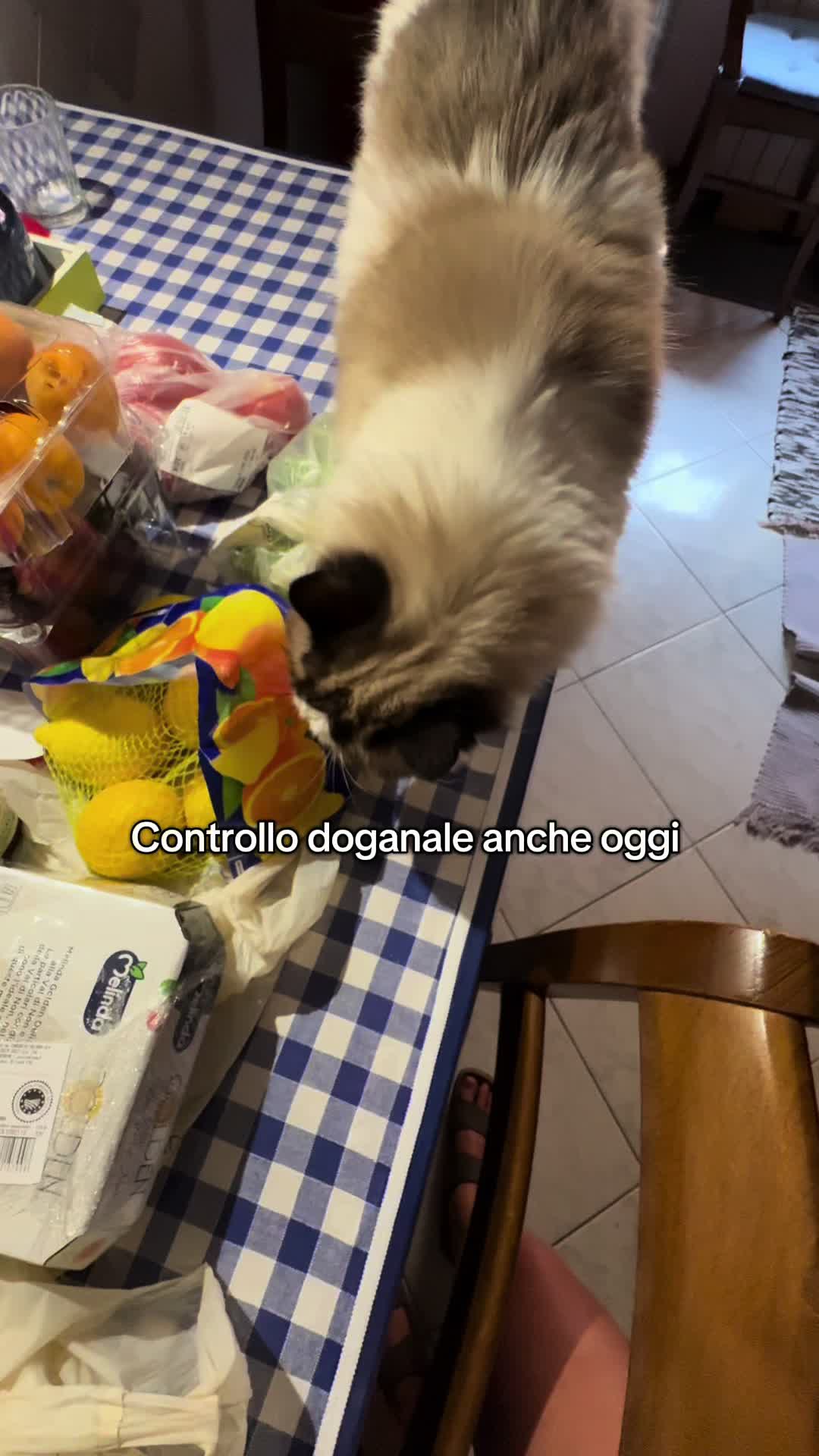 @ninabigatton