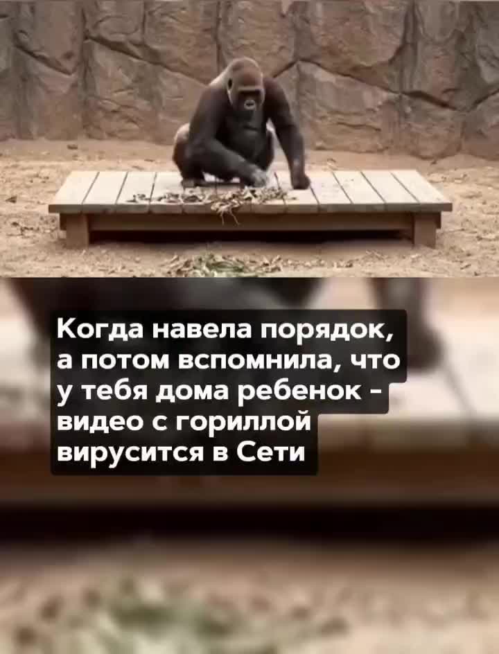 @Qazaqstan_live