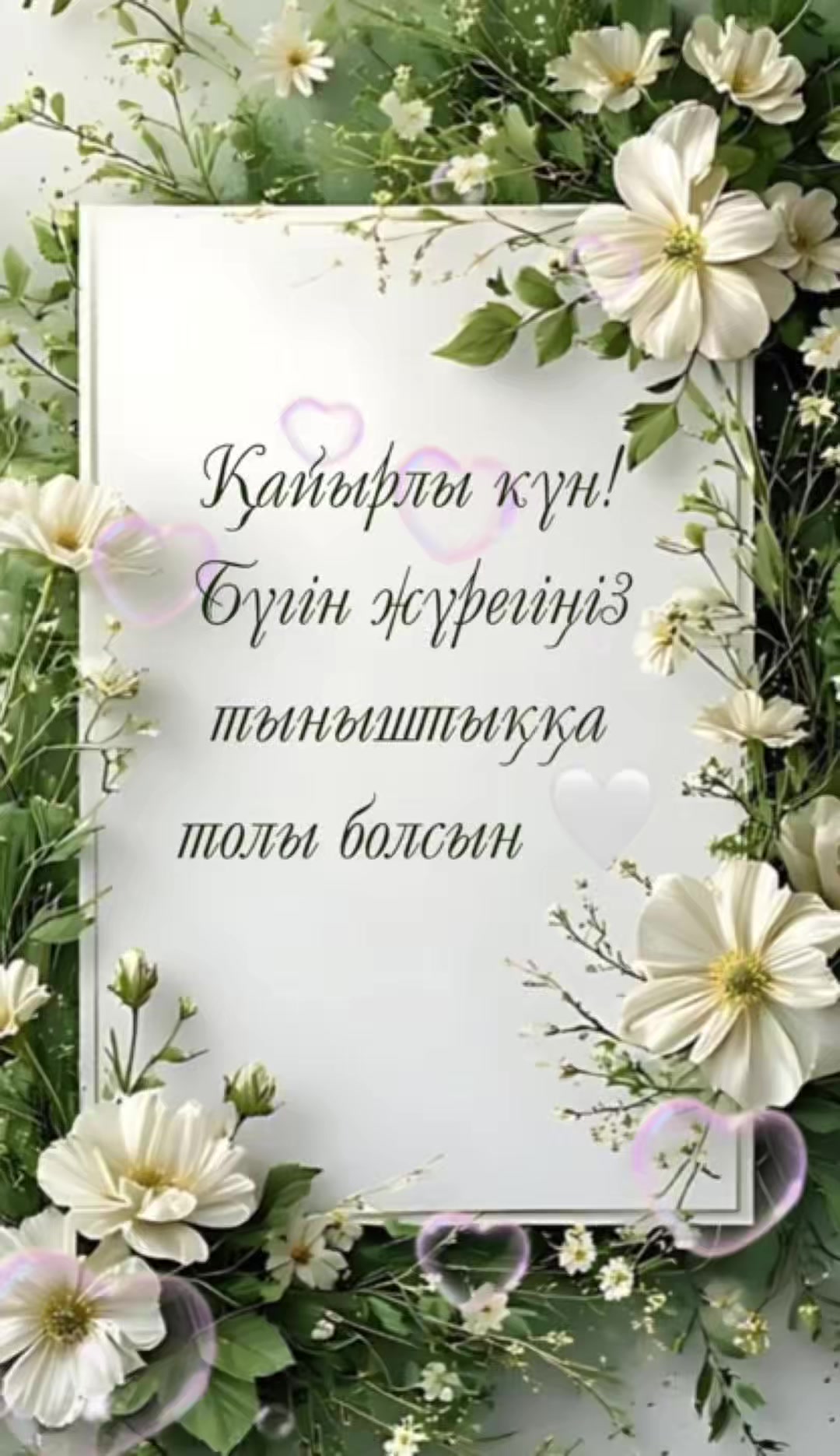 @aray_dinasil