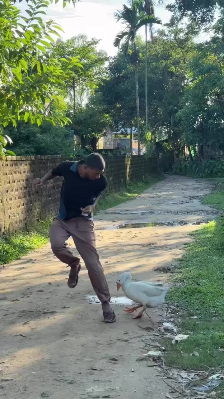 @đ¤ŖāĻĢāĻžāύāĻŋ āĻāĻŋāĻĄāĻŋāĻ,đ¤Ŗ