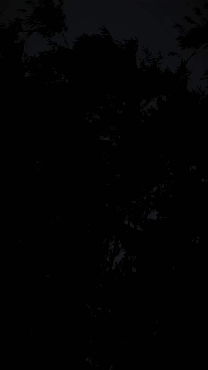 @Story_94🎭