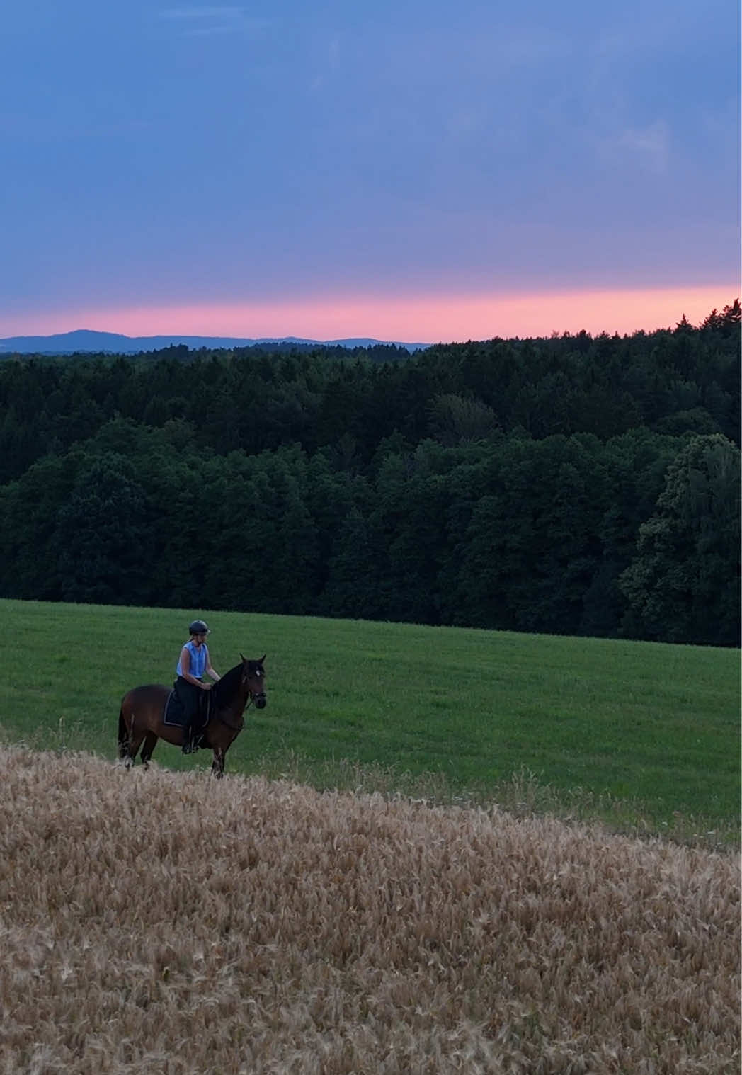 @FieryHorses ❤️&zwj;🔥