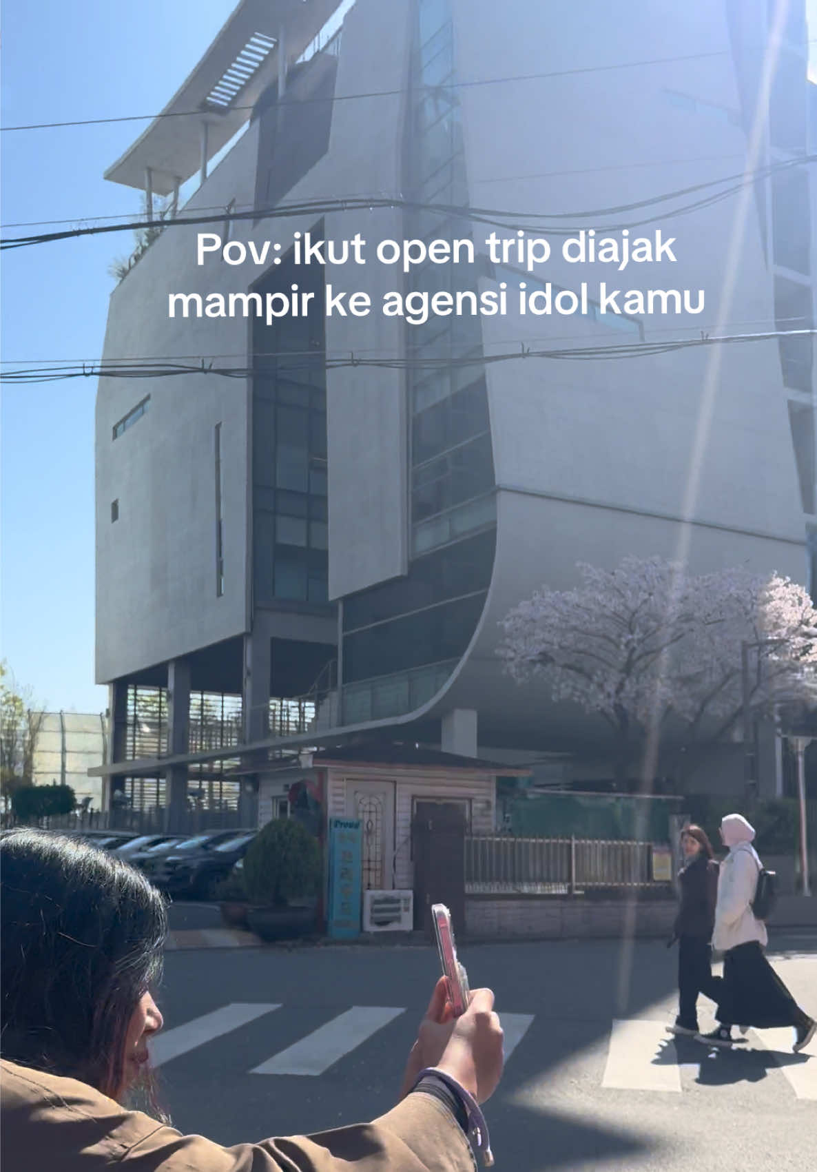 @Elwina | Open Trip Korea