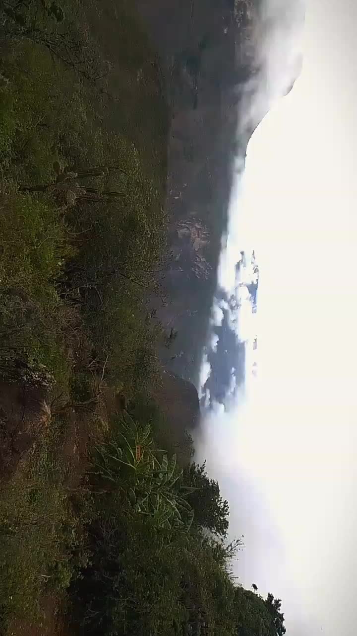 @nata_miranda29