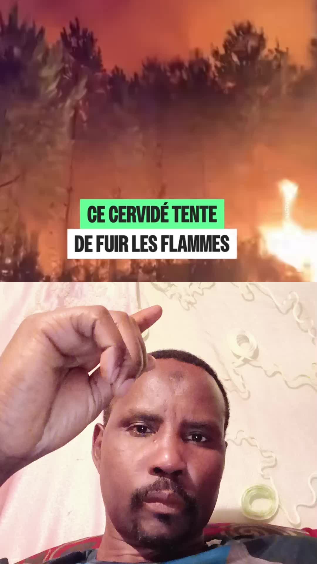 @moubarak