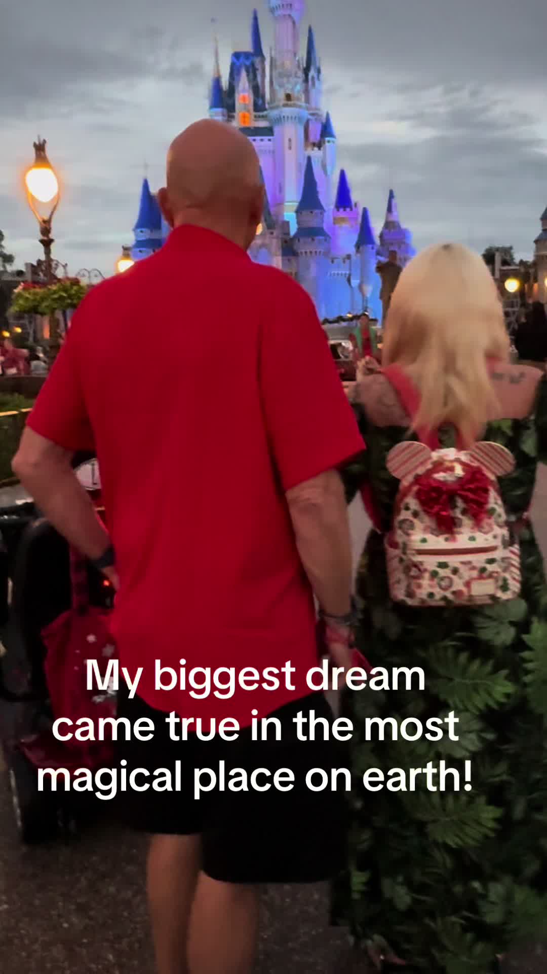 @Dream Vacation Planner🏰🛳️🏖️