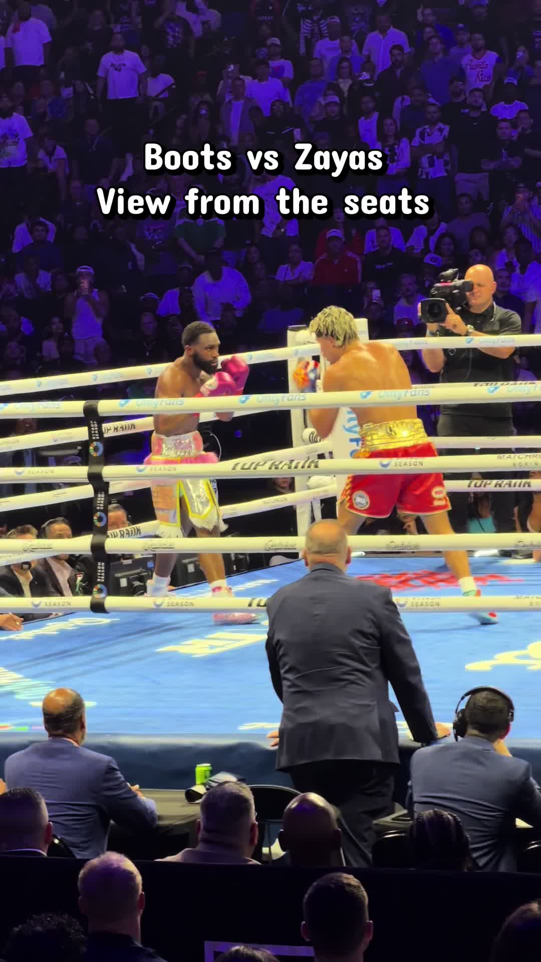 @macleodpittsboxing