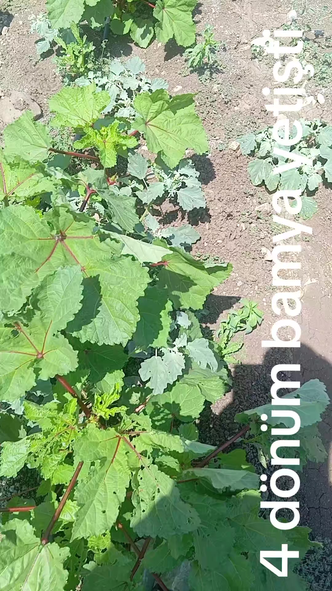@Ramazan Korkmaz