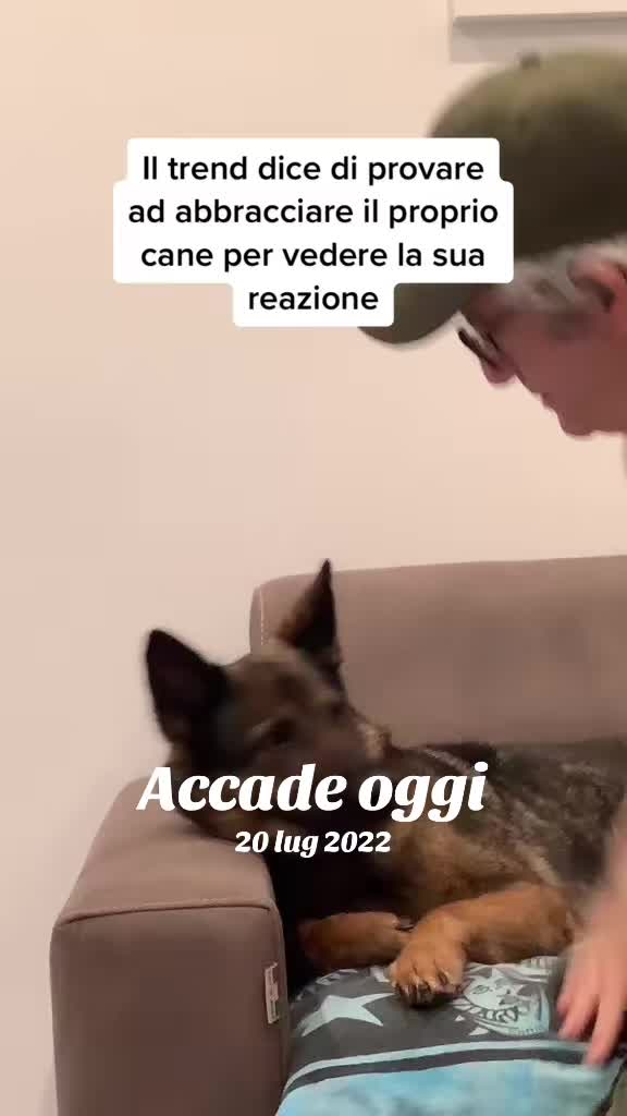 @Janedeivolsci&victorio