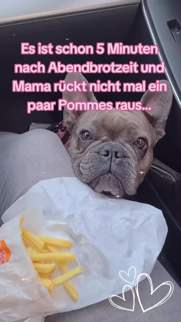 @FrenchieFrieda