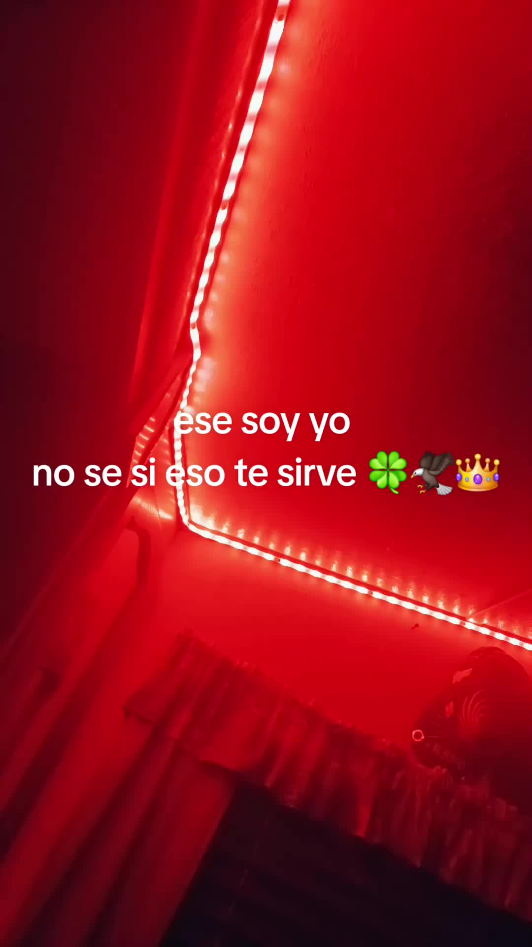 @🍀melod&iacute;a selestial🎹🦅🍀🧎&zwj;♂️