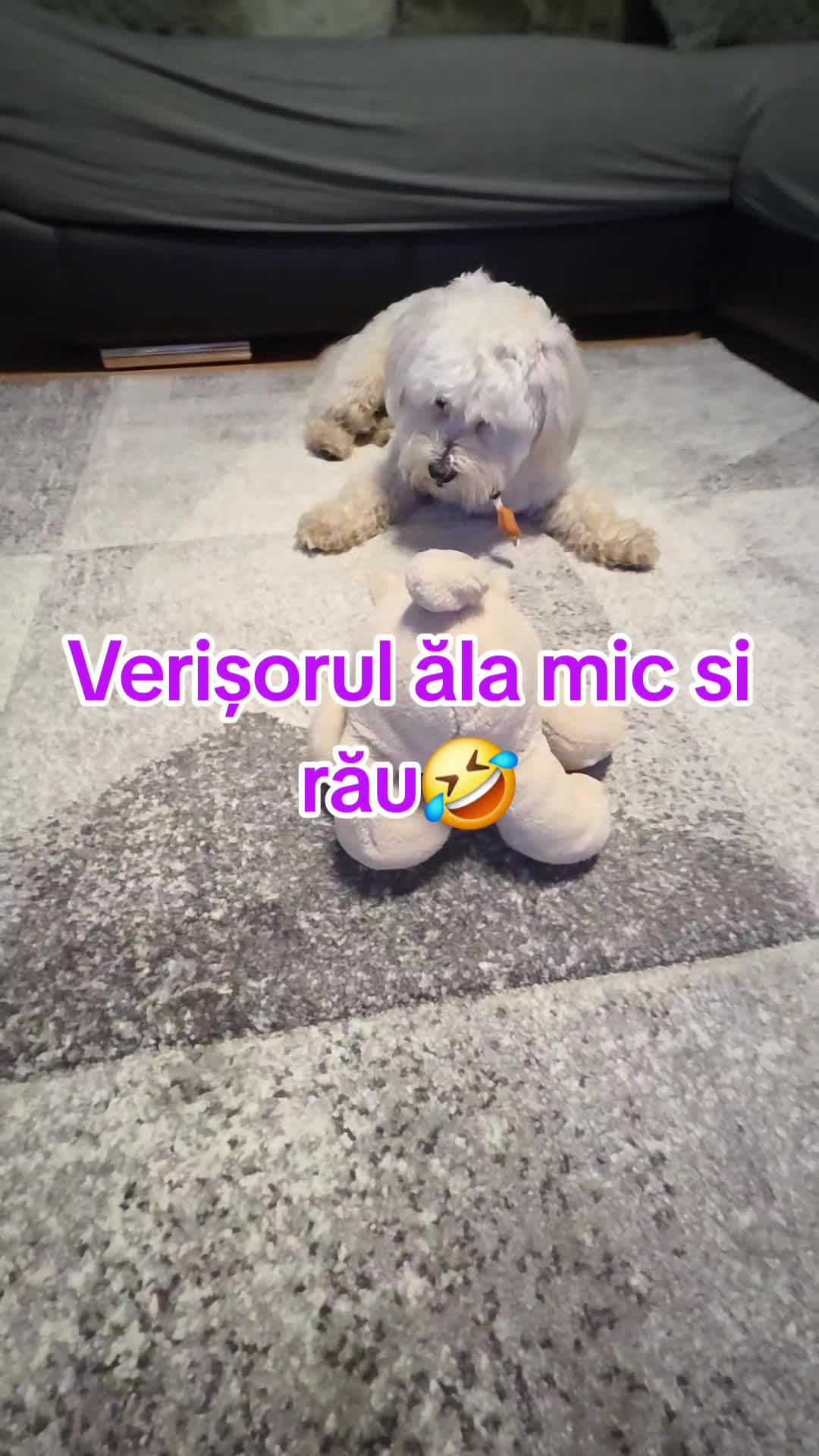 @Adina