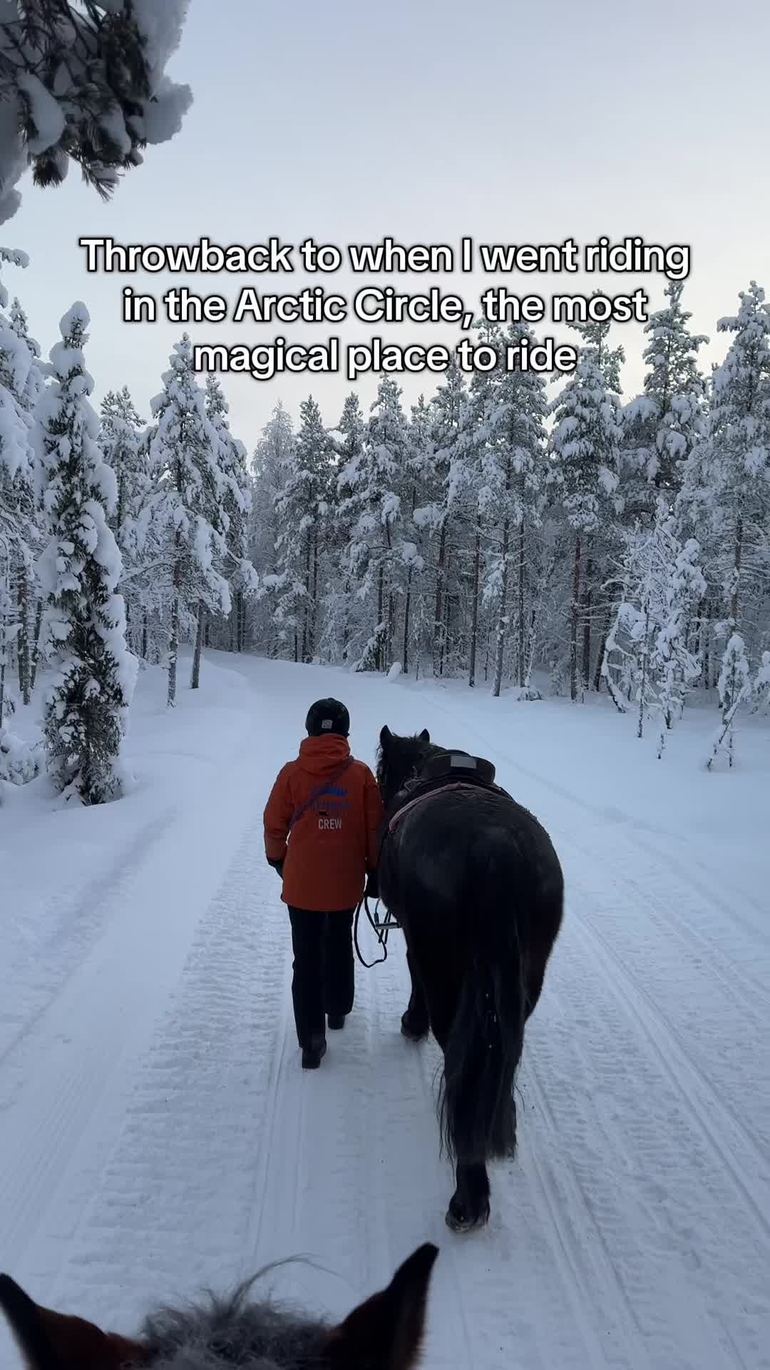 @Dakota Sheikh